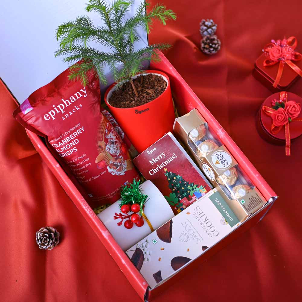 Ugaoo Christmas tree Gift Hamper - view 8