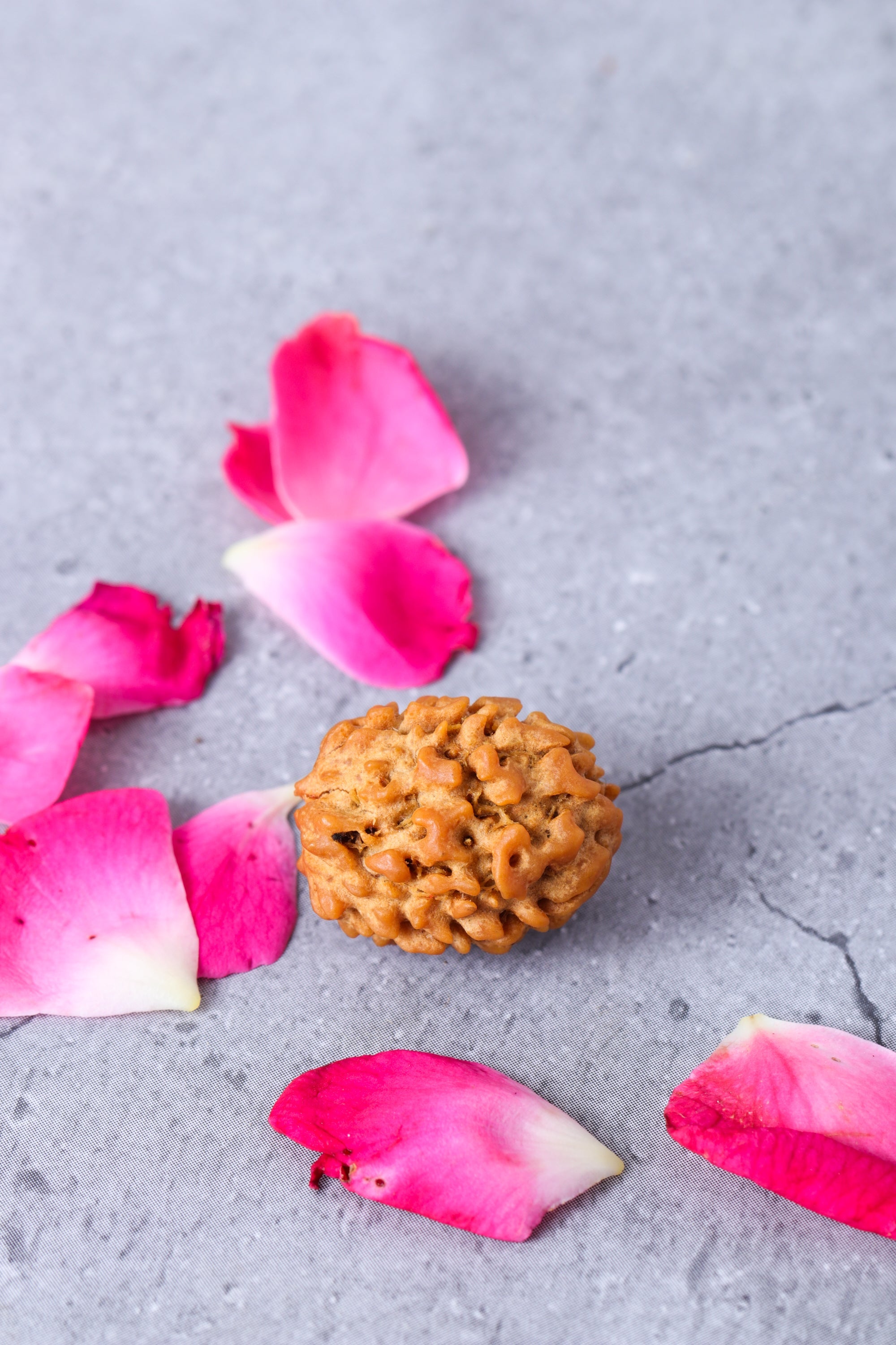 Studio Vaidik 3 mukhi Natural Rudraksha - view 2