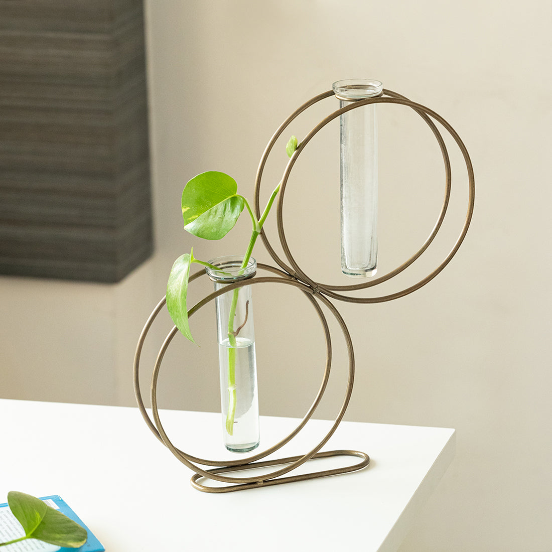 EXCLUSIVELANE 'Modern Glass Garden' Test Tube Table Planter/Vases (13 Inch, Golden)