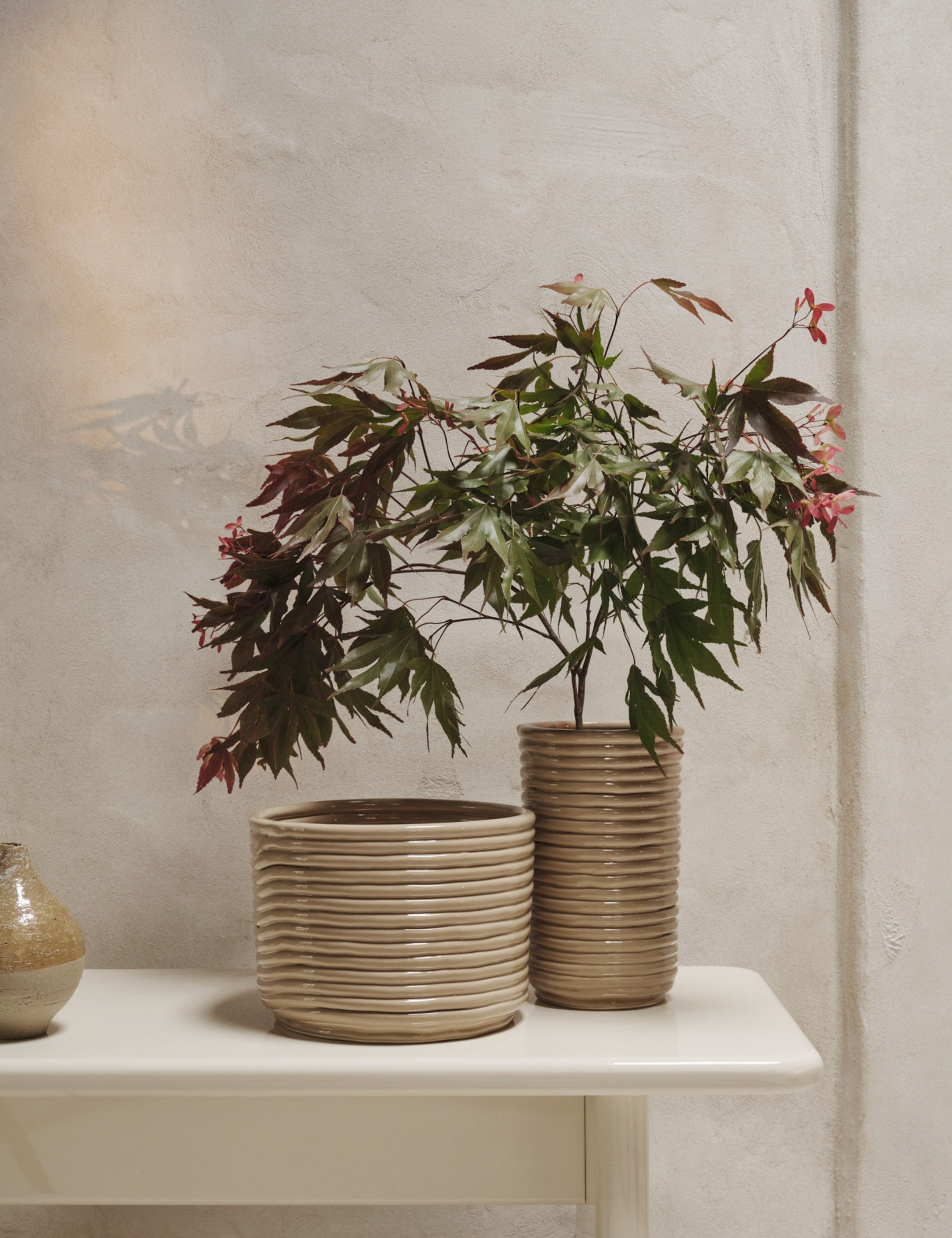 Lulu and Georgia Corduroy Pot by Ferm Living - view 6