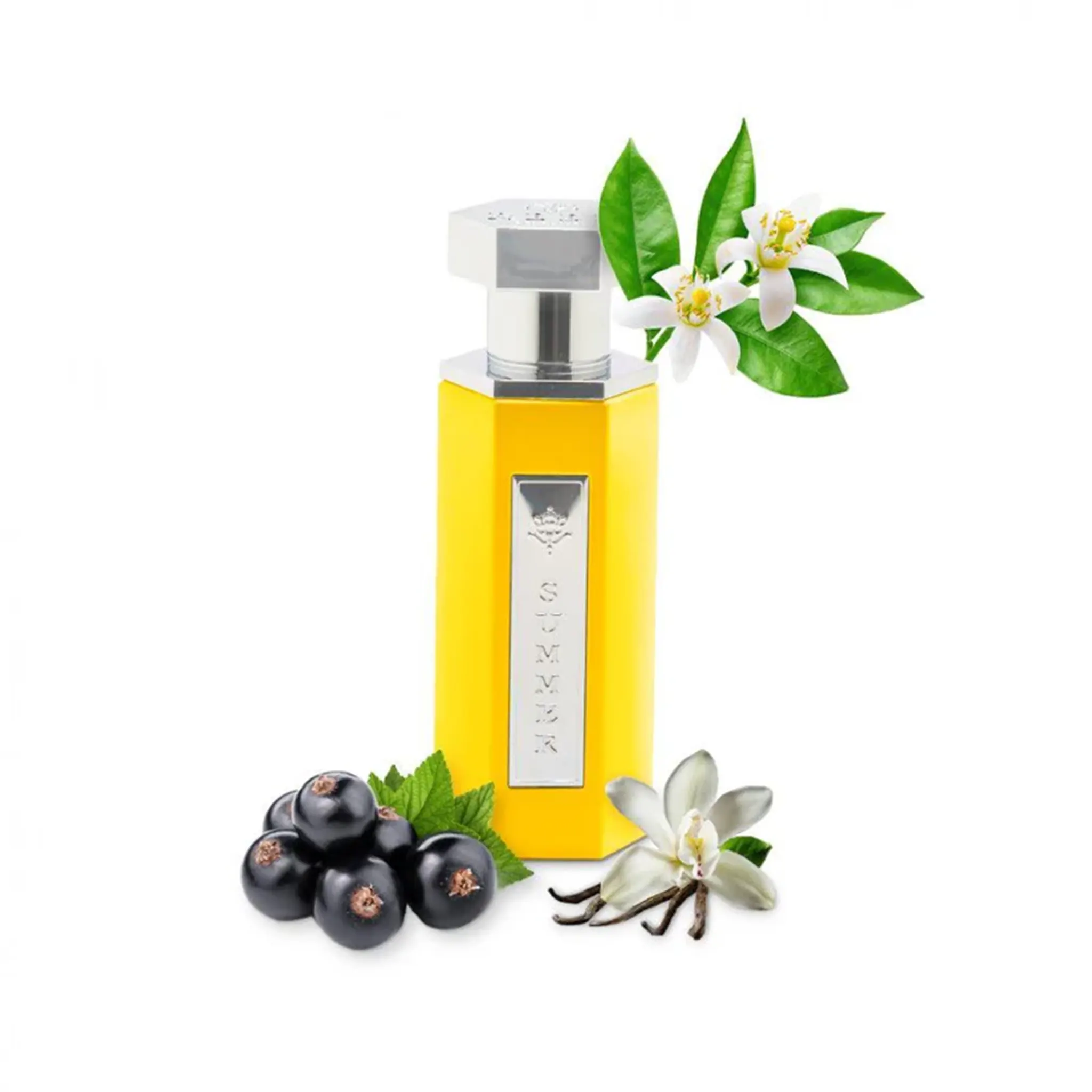 REEF Perfumes REEF Summer Yellow Eau De Parfum