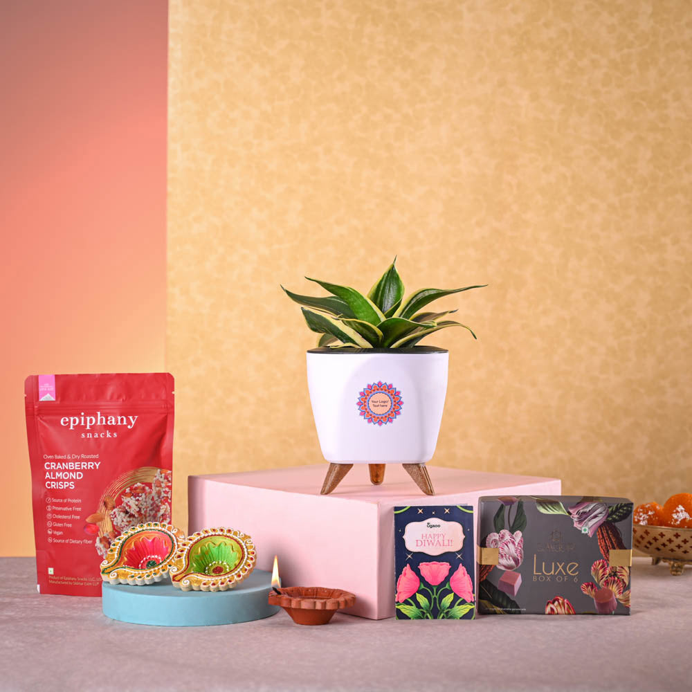 Ugaoo Snake Plant - Golden Hahnii Diwali Hamper