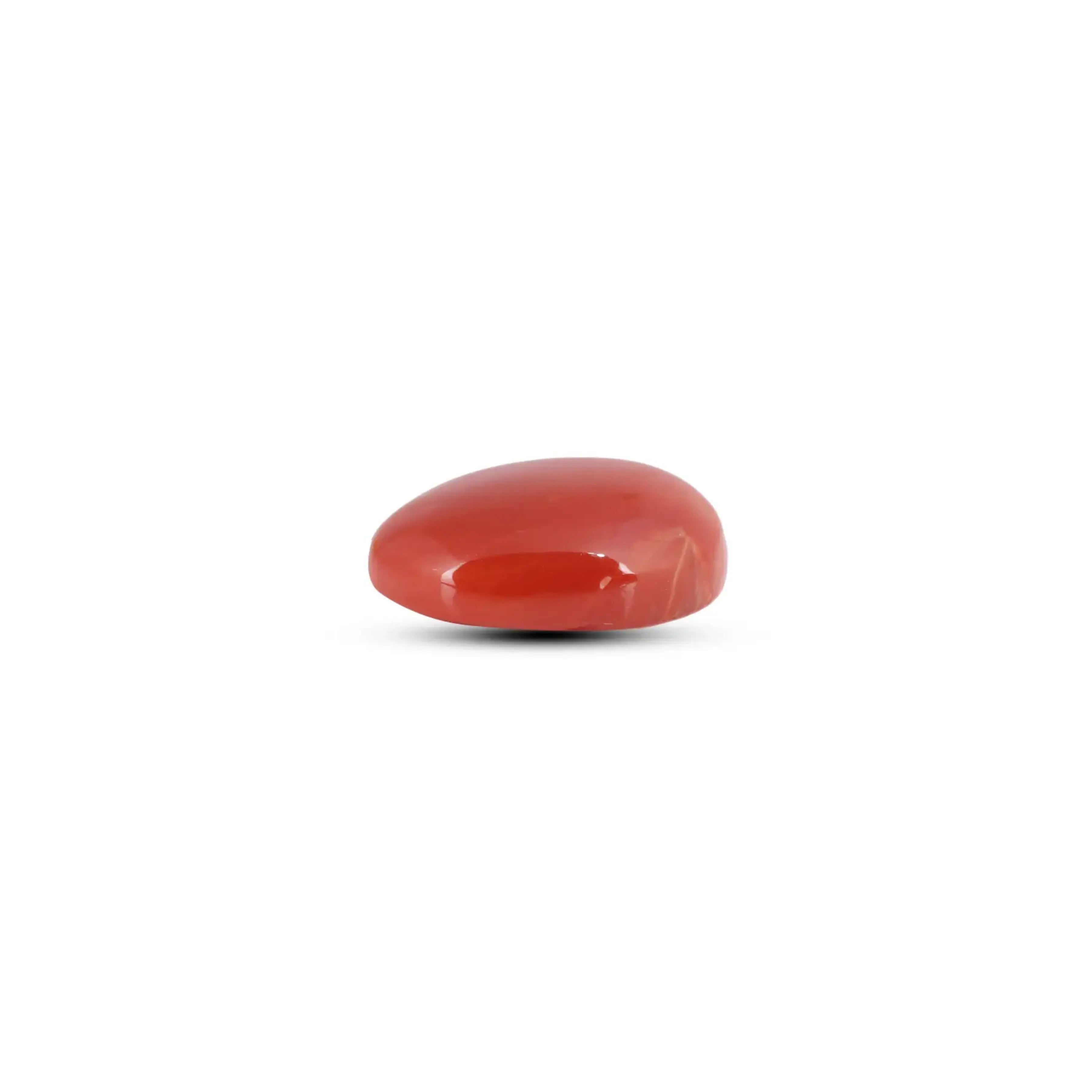 Pramogh Japanese Red Coral - 5.6 Carat - view 3