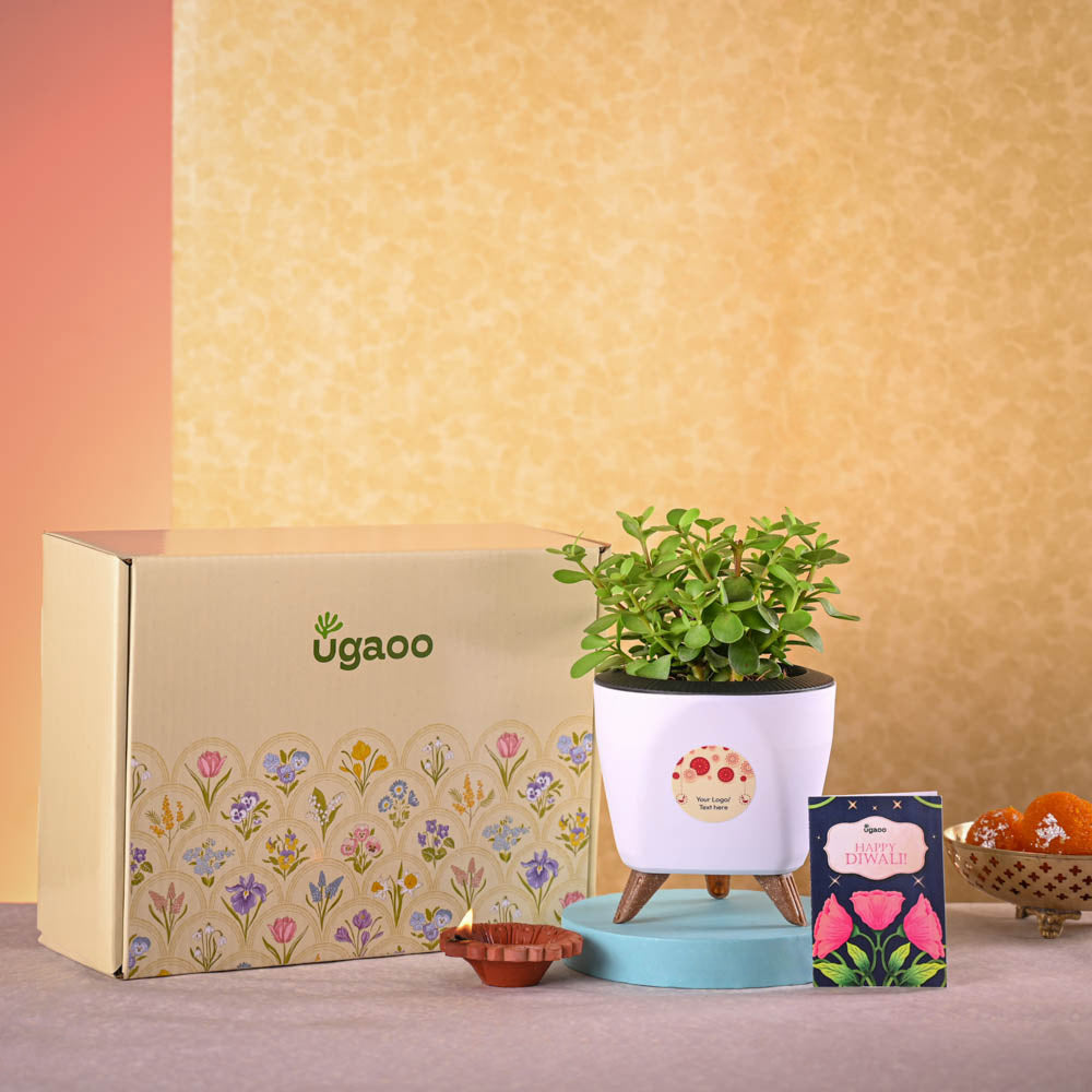 Ugaoo Jade Mini & Nutki Gourmet Nut Mix Diwali Gift Hamper - view 2