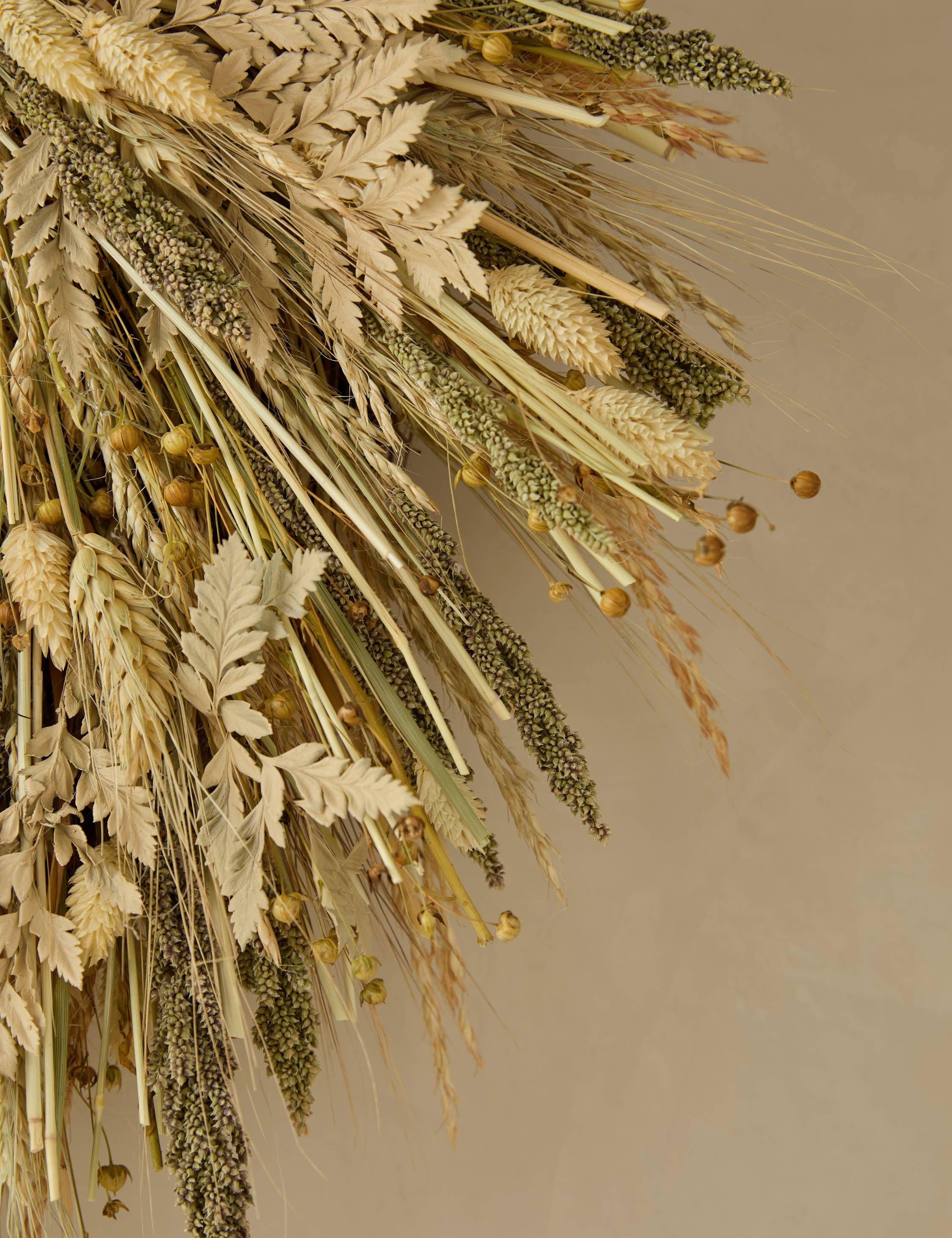 Lulu and Georgia Preserved Gathered Grains Wreath - view 3