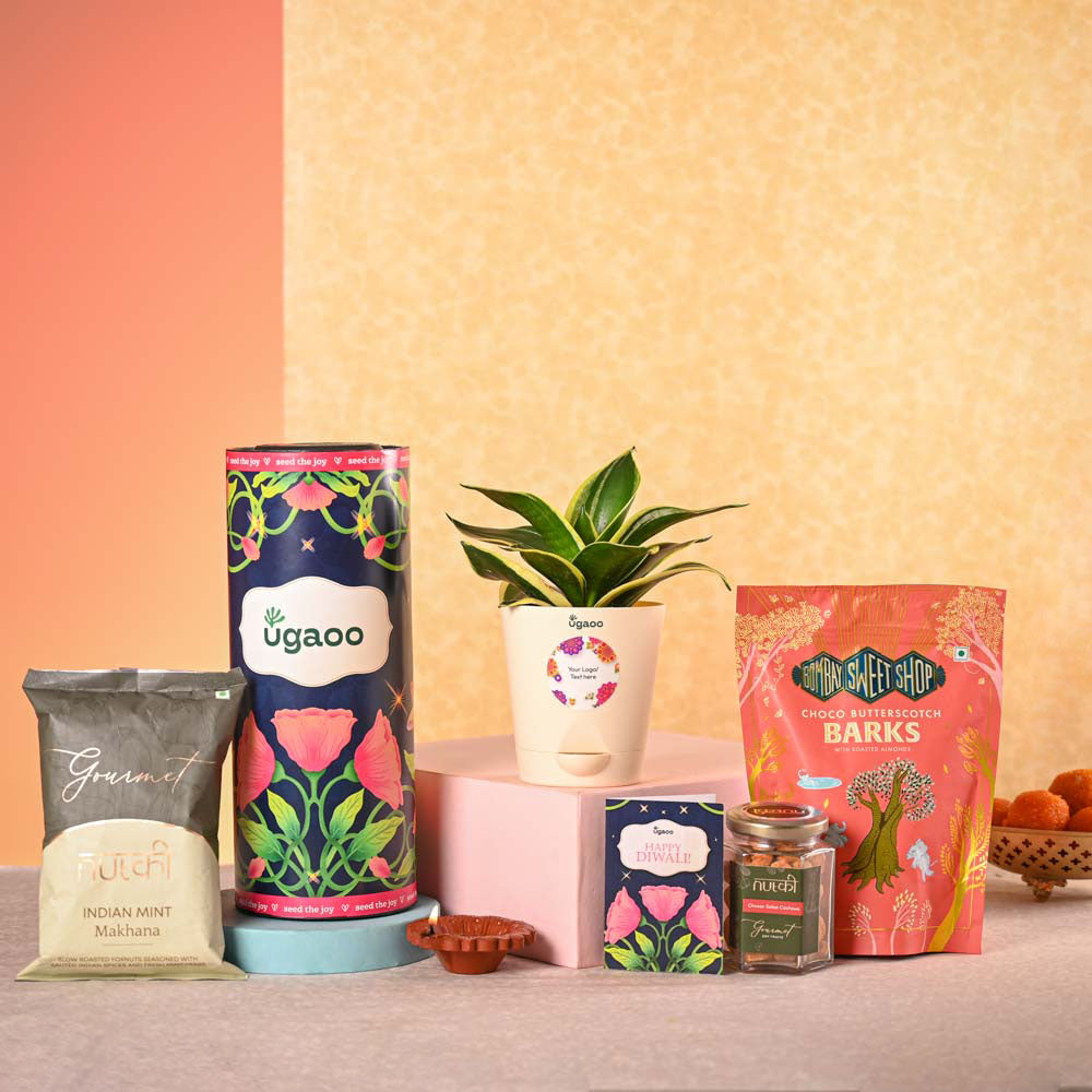 Ugaoo Snake Plant & Bombay Sweet Shop Diwali Gift Hamper