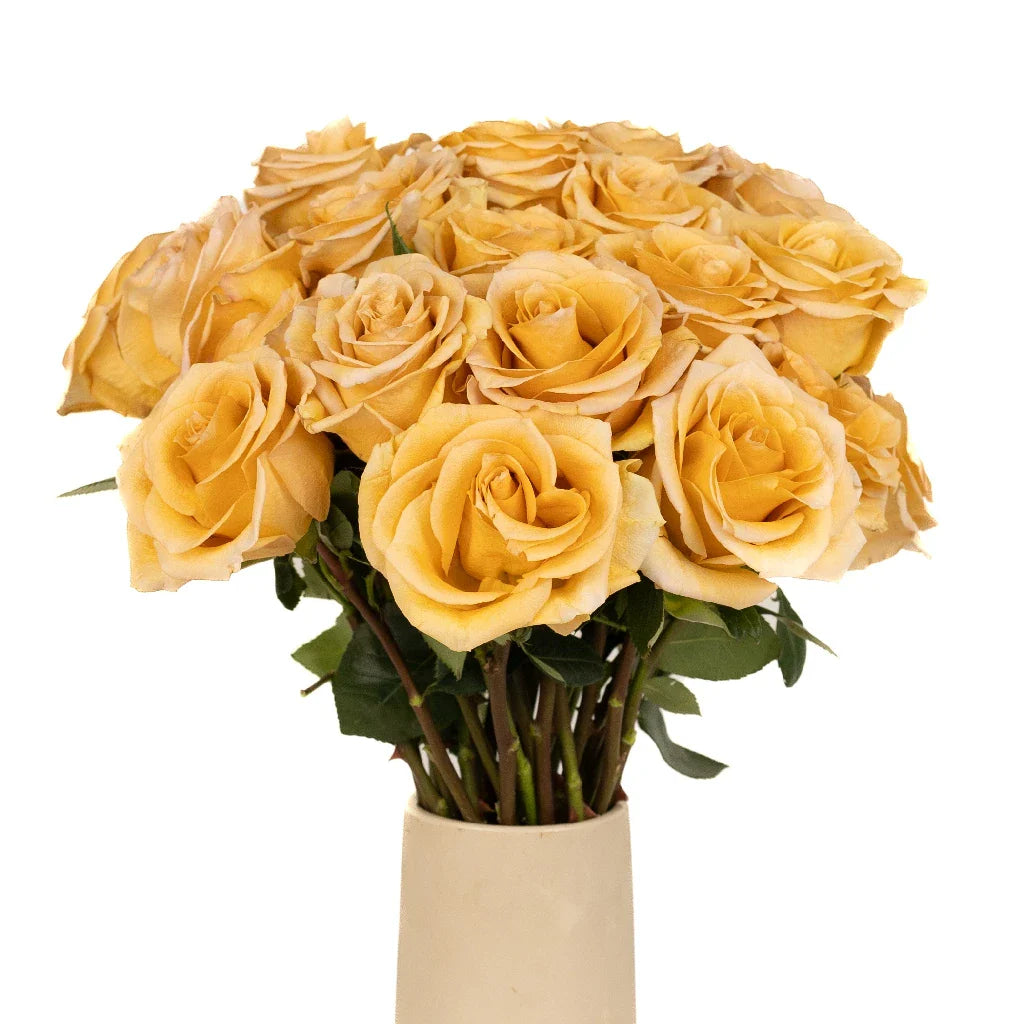 FiftyFlowers Honey Mustard Combo Rose