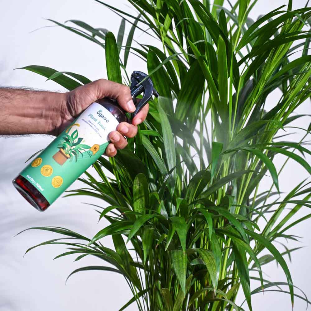 Ugaoo Plant Tonic Ready-To-Use Spray - 500 ml - view 5