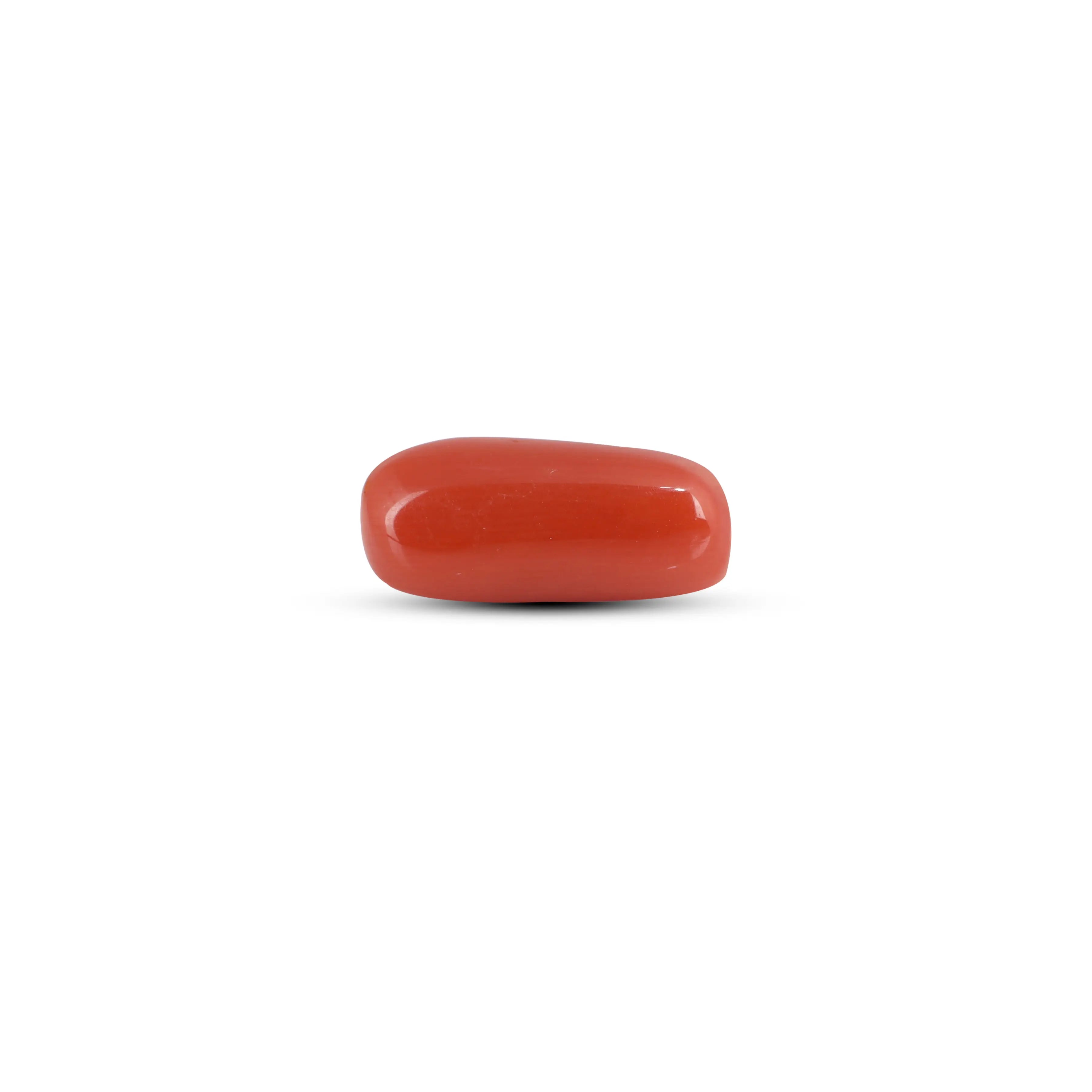 Pramogh Red Coral - 3.3 Carat