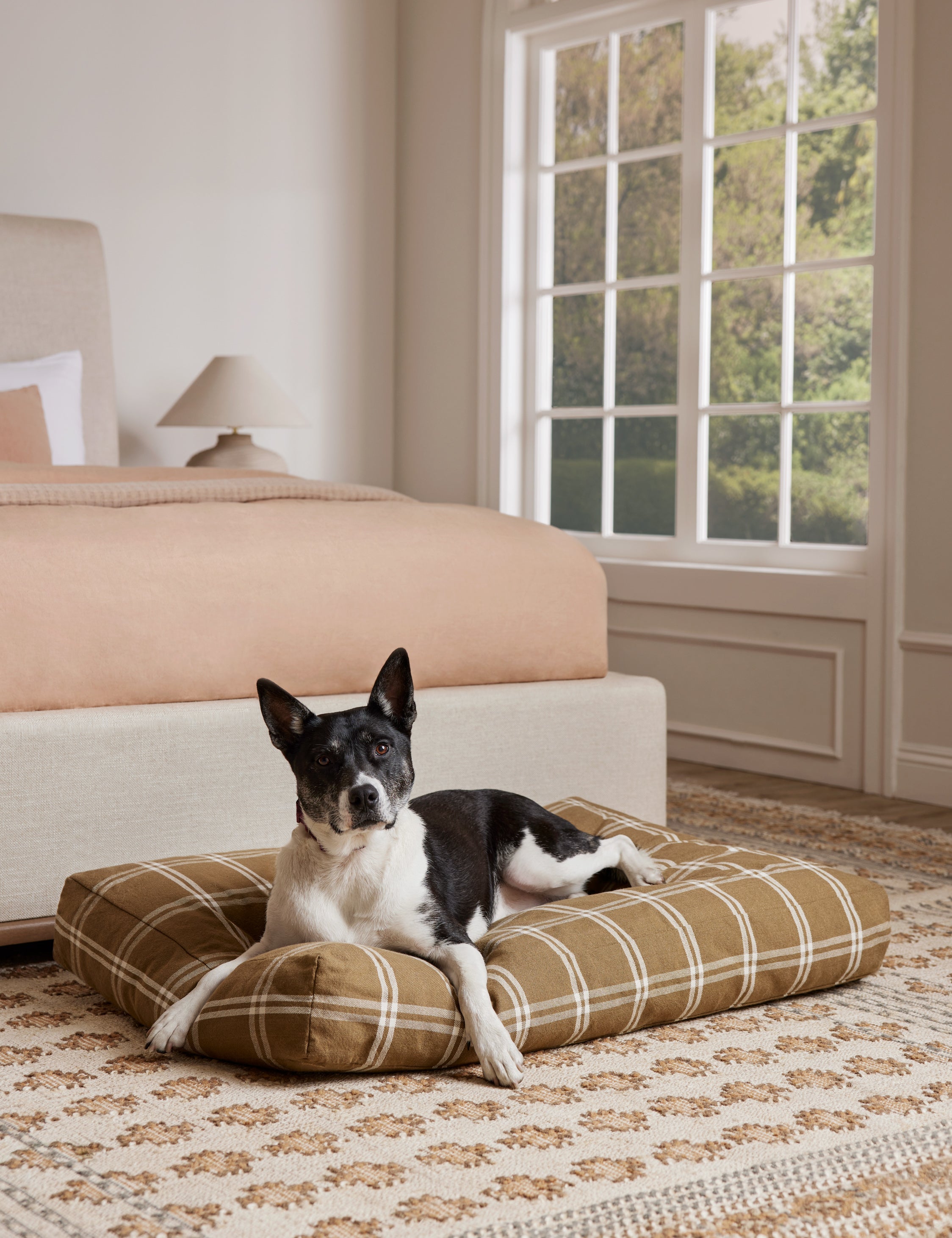 Lulu and Georgia Rollo Dog Bed – Khaki
