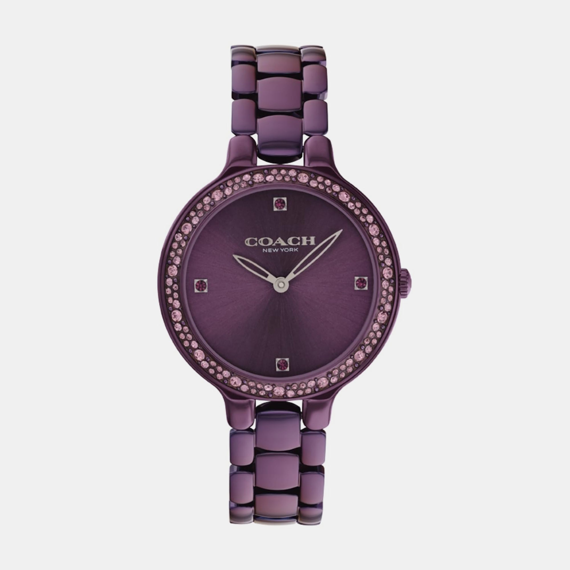 Coach Chelsea Women Quartz Purple Dial Analog Stainless Steel Watch 14504353