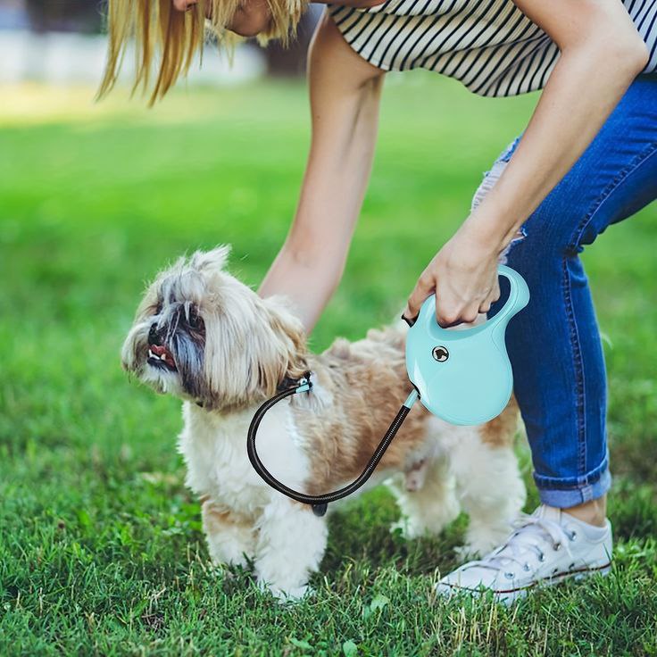 Catterton Big Adjustable Dog Leash - view 3