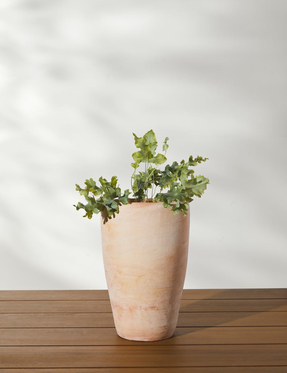 Lulu and Georgia Abrielle Planter (Set of 2) by Campania International - view 2