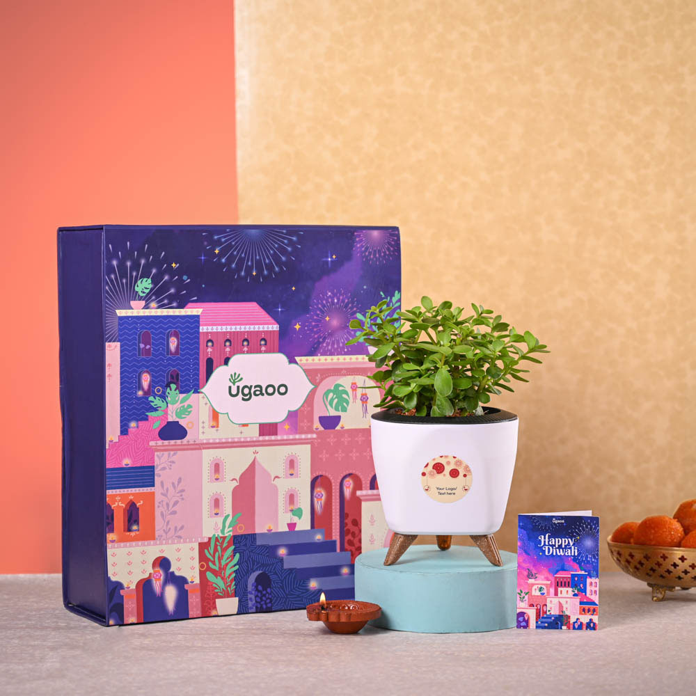 Ugaoo Jade Mini & Phool Incense Diwali Gft Hamper - view 2