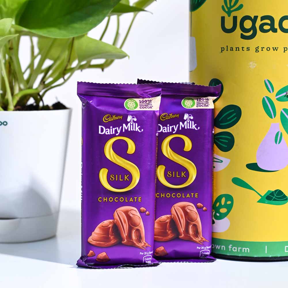 Ugaoo Money Plant Golden Thank you Gift Hamper - view 5