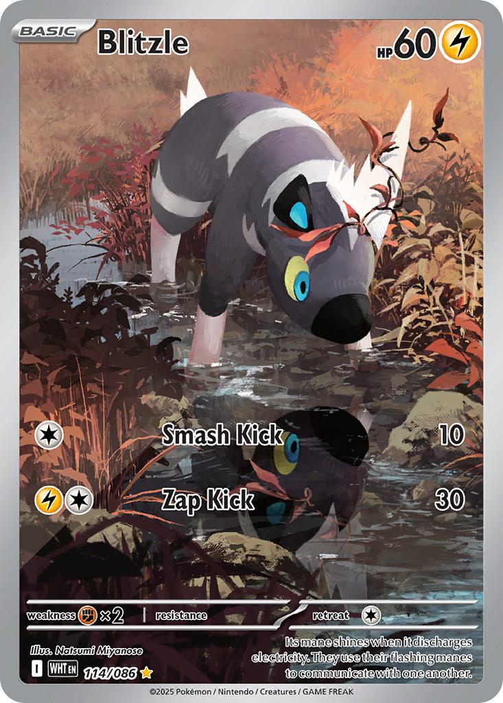 Illustration rare sv105w-114 – Pokémon Blitzle - 114/086 - Illustration Rare [sv105w-114] [Ultra]