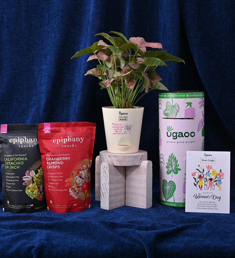 Ugaoo Syngonium Pink Plant For Women's Day