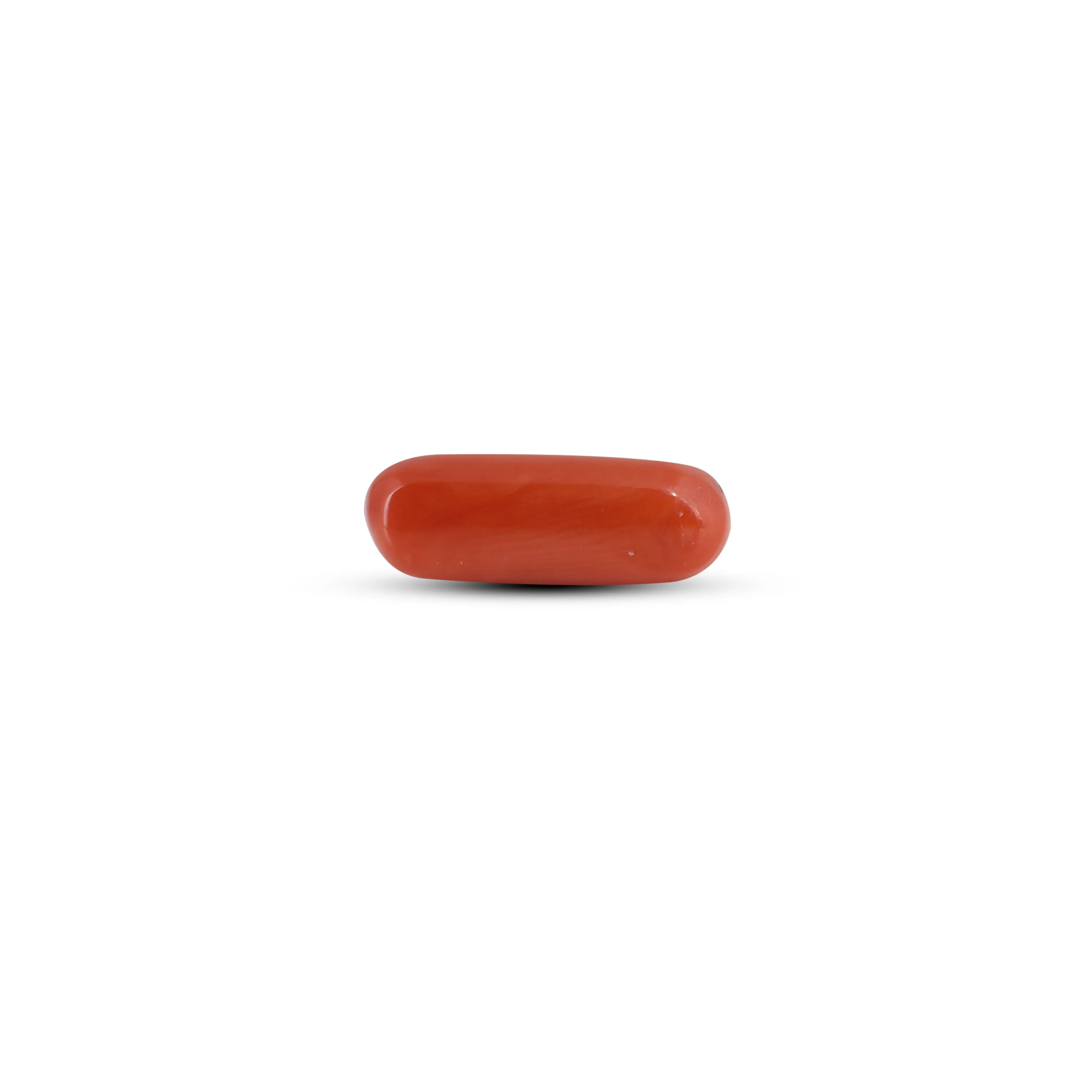 Pramogh Red Coral - 4.1 Carat