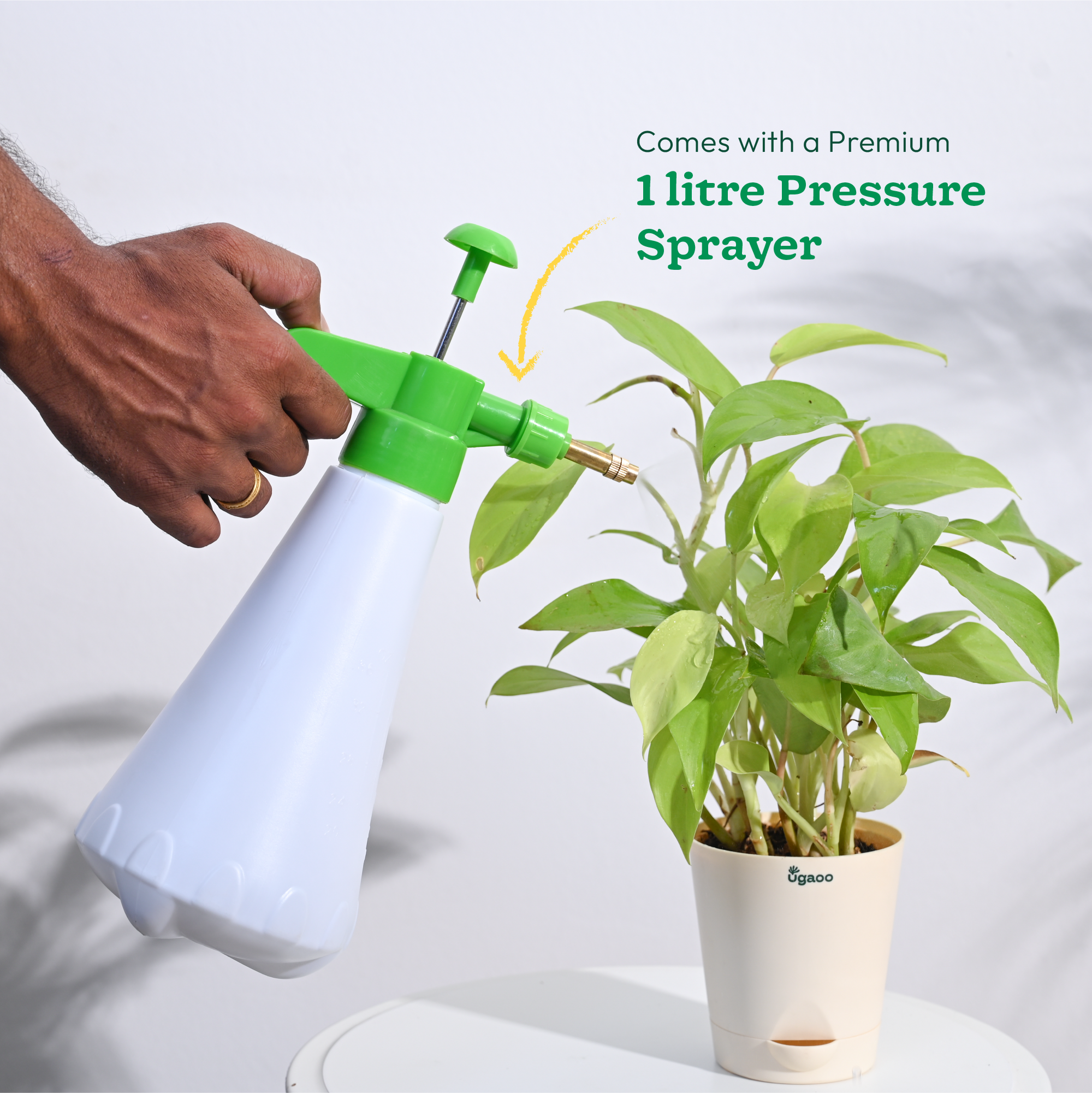 Ugaoo Indoor Gardening Kit - view 5