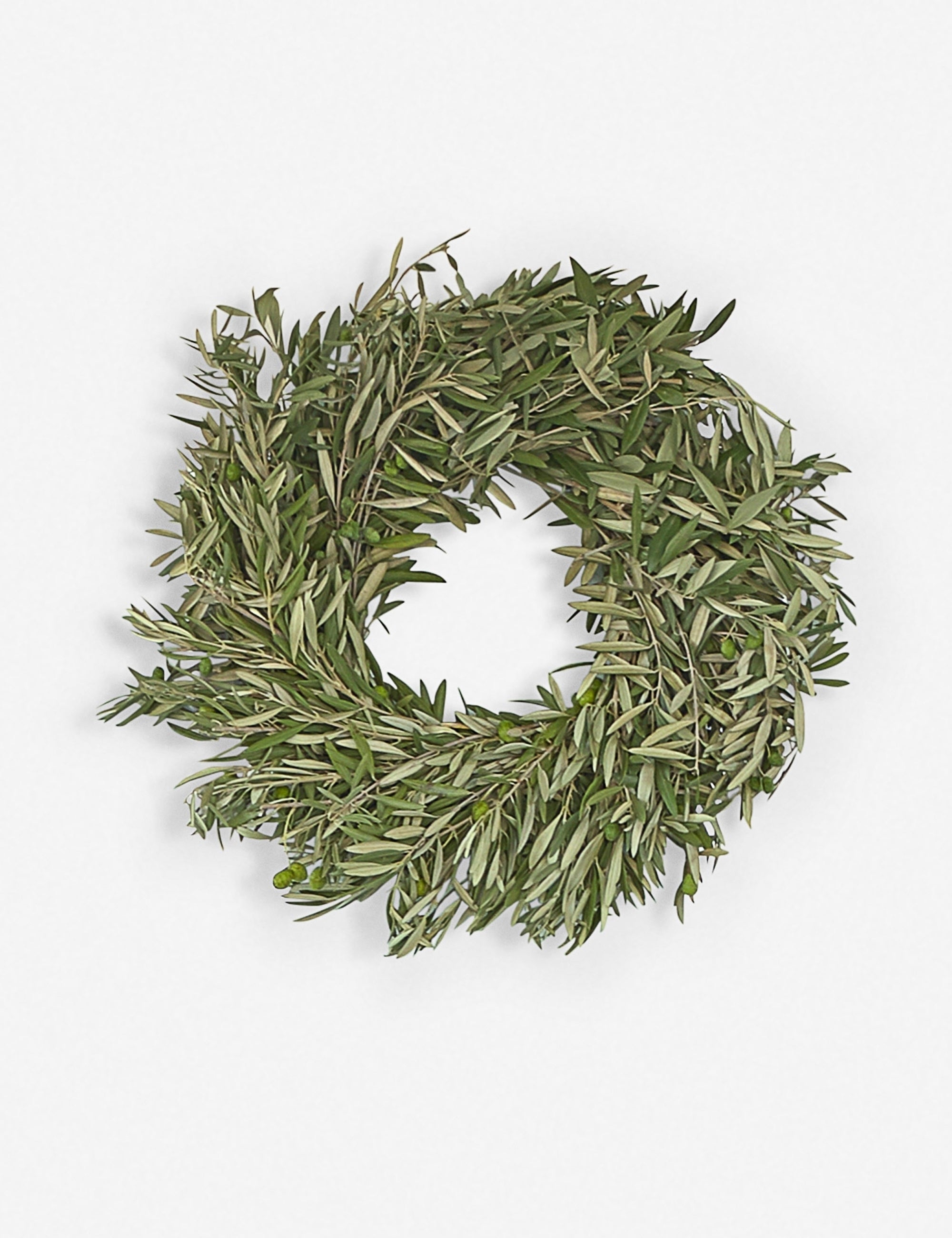 Lulu and Georgia Fresh Handmade Olive Leaf Wreath