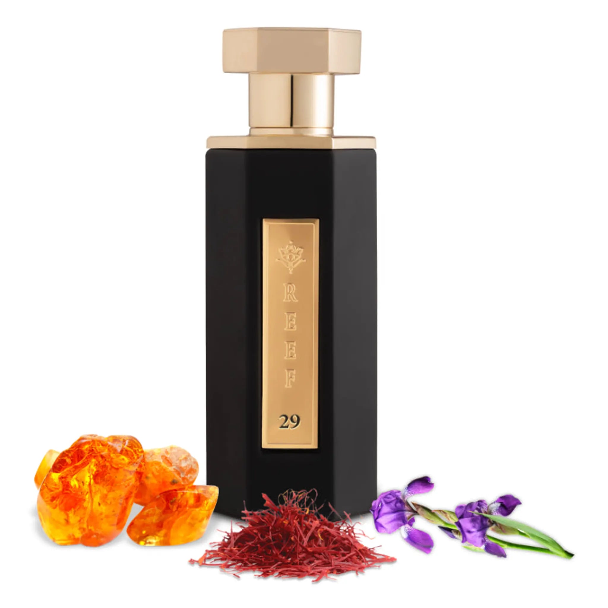 REEF Perfumes REEF 29 Eau De Parfum 100ml