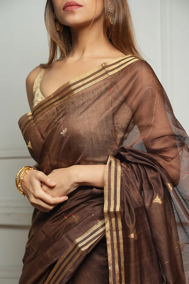 Aayna Embellished Brown Cotton Silk Saree With Felicitous Blouse Piece - view 4