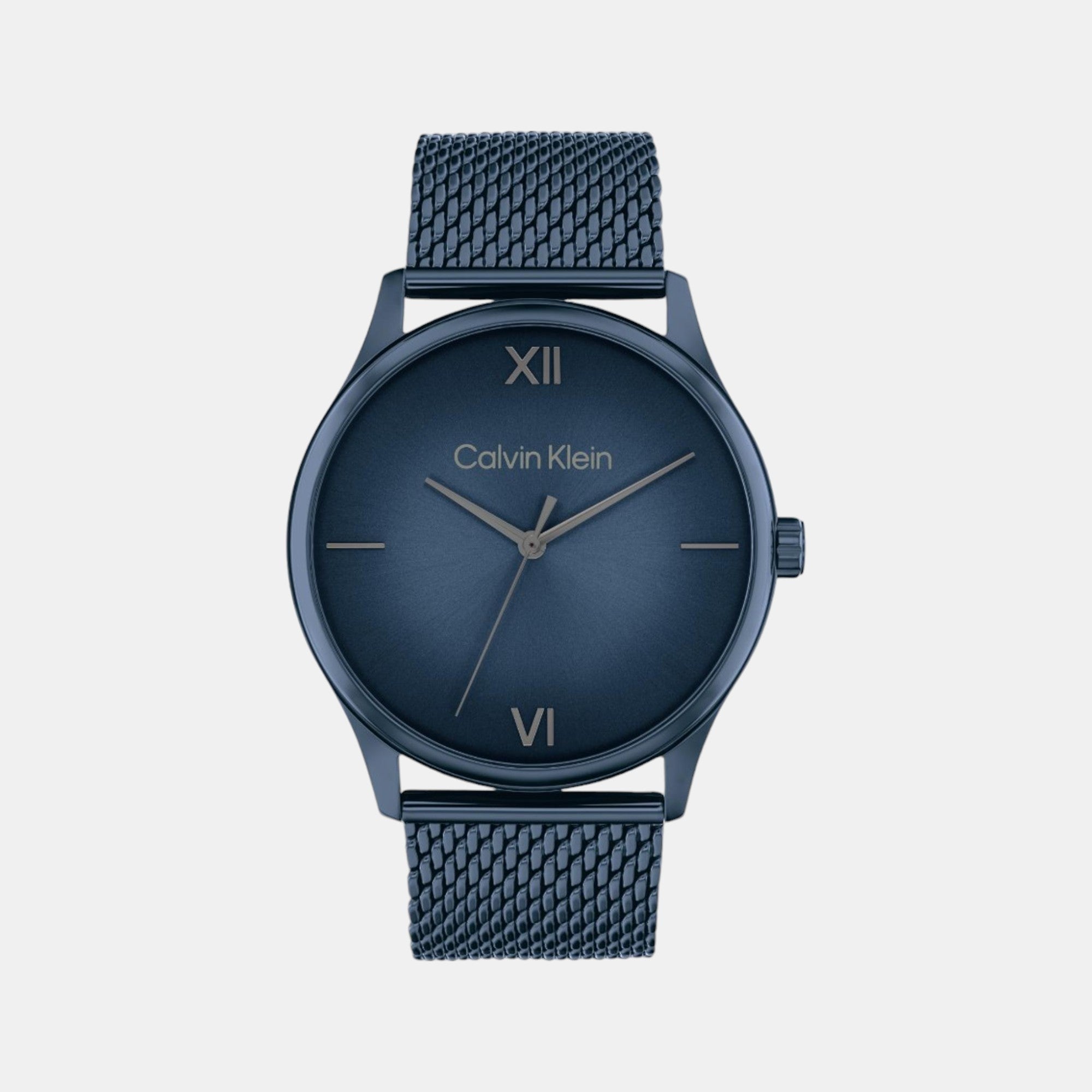 Calvin Klein Ascend Men Quartz Blue Dial Analog Mesh Watch 25200451