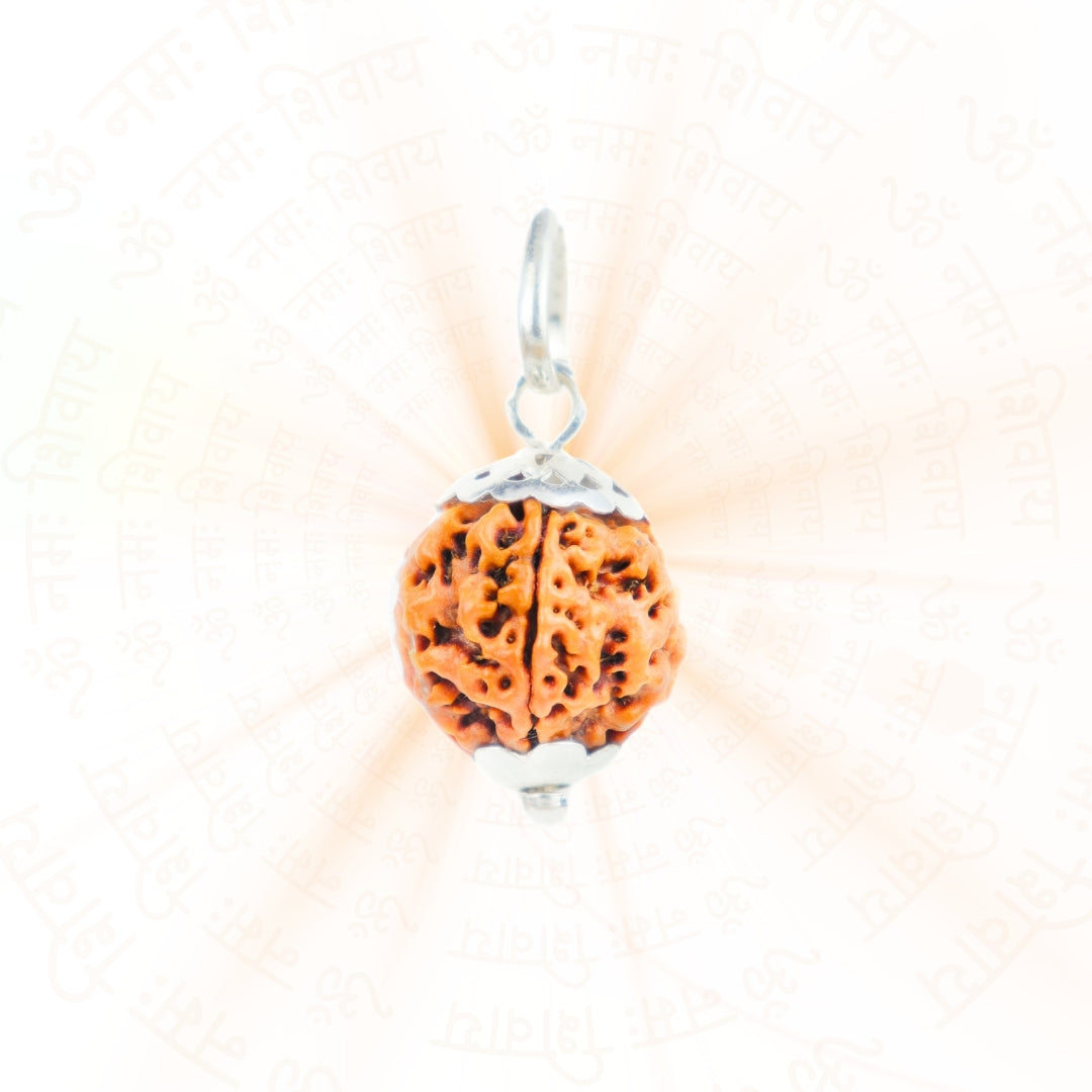 Prinjal Jewellers Silver Capping 5 Mukhi Rudraksha Pendant With Chain ( Nepali ) - view 2