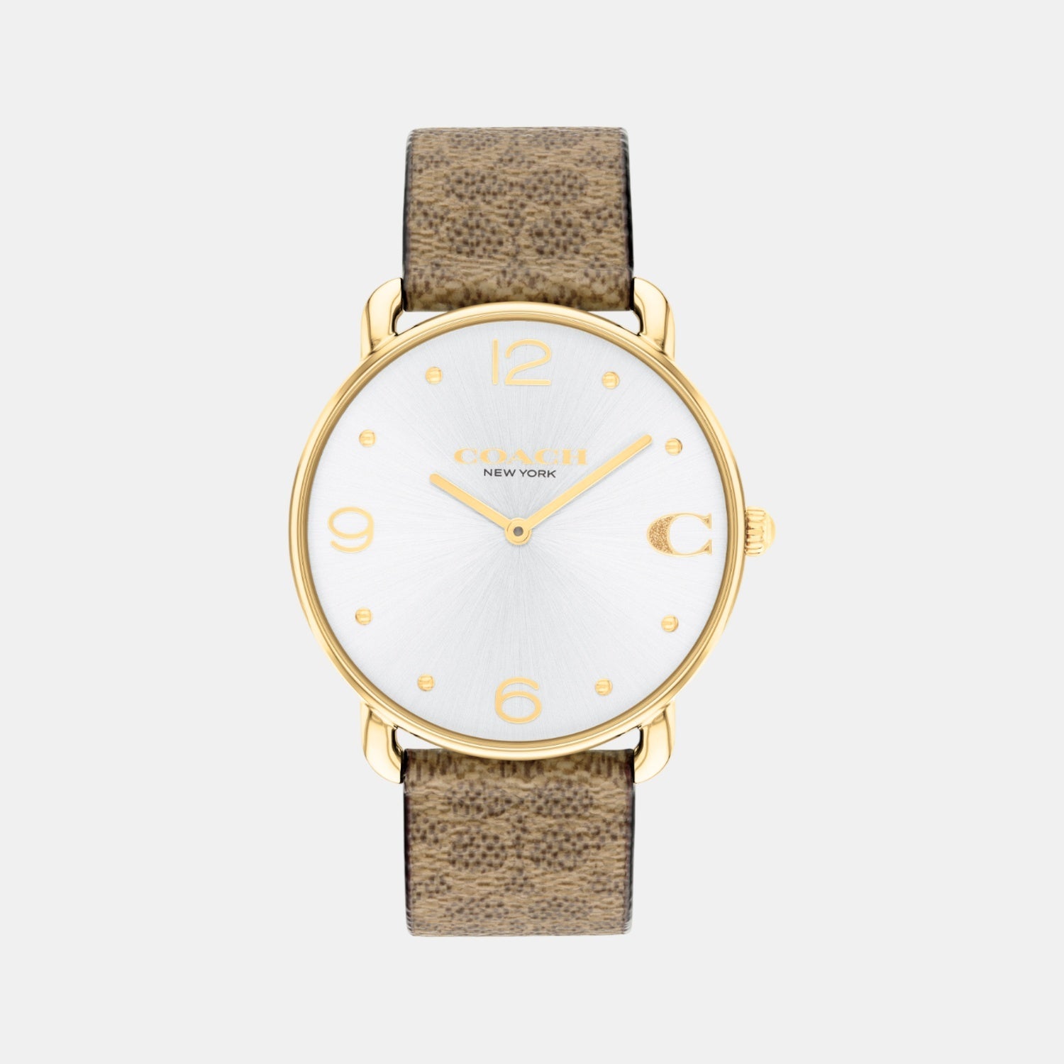 Coach Elliot Women Quartz Silver Dial Analog Leather Watch 14504205