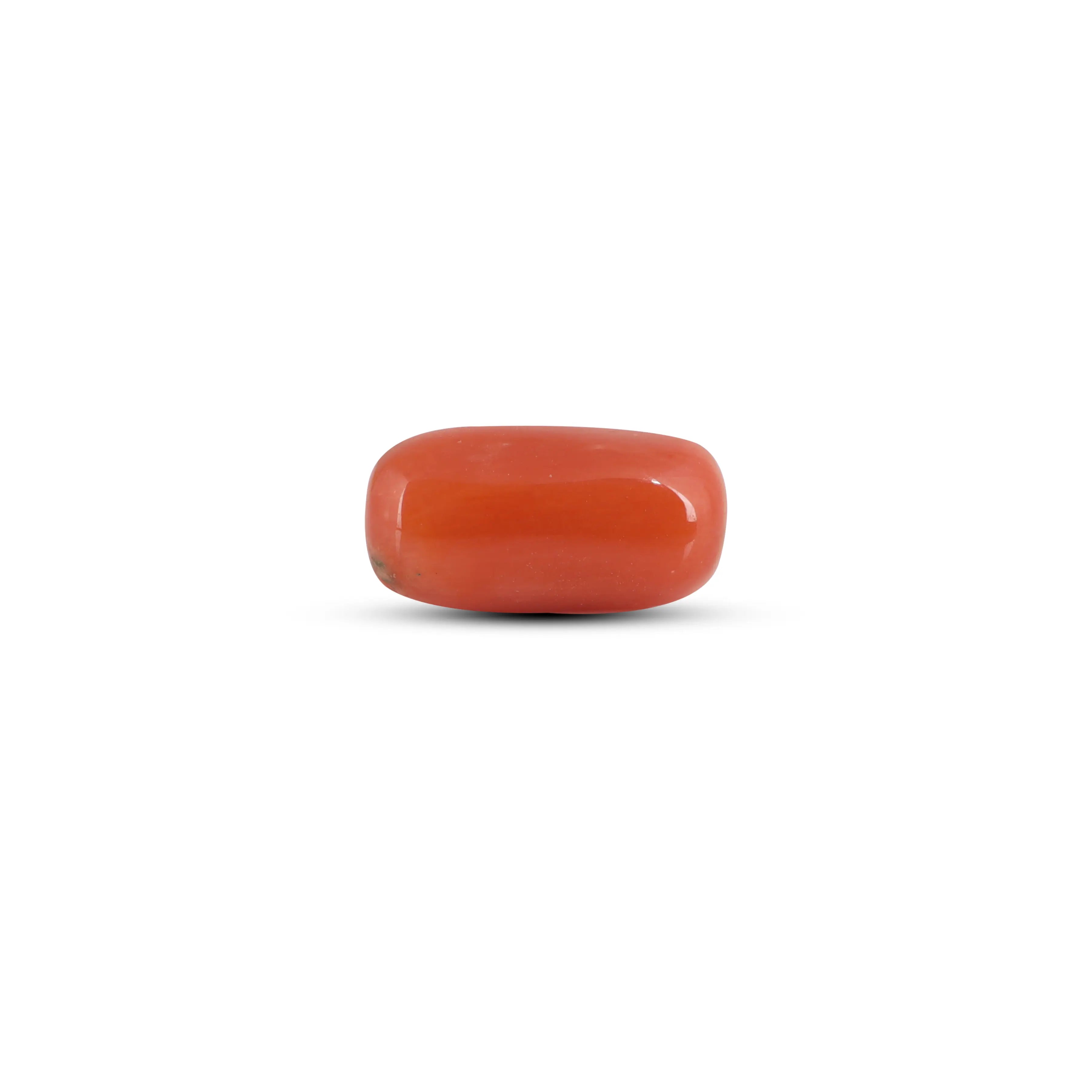Pramogh Red Coral - 3.6 Carat