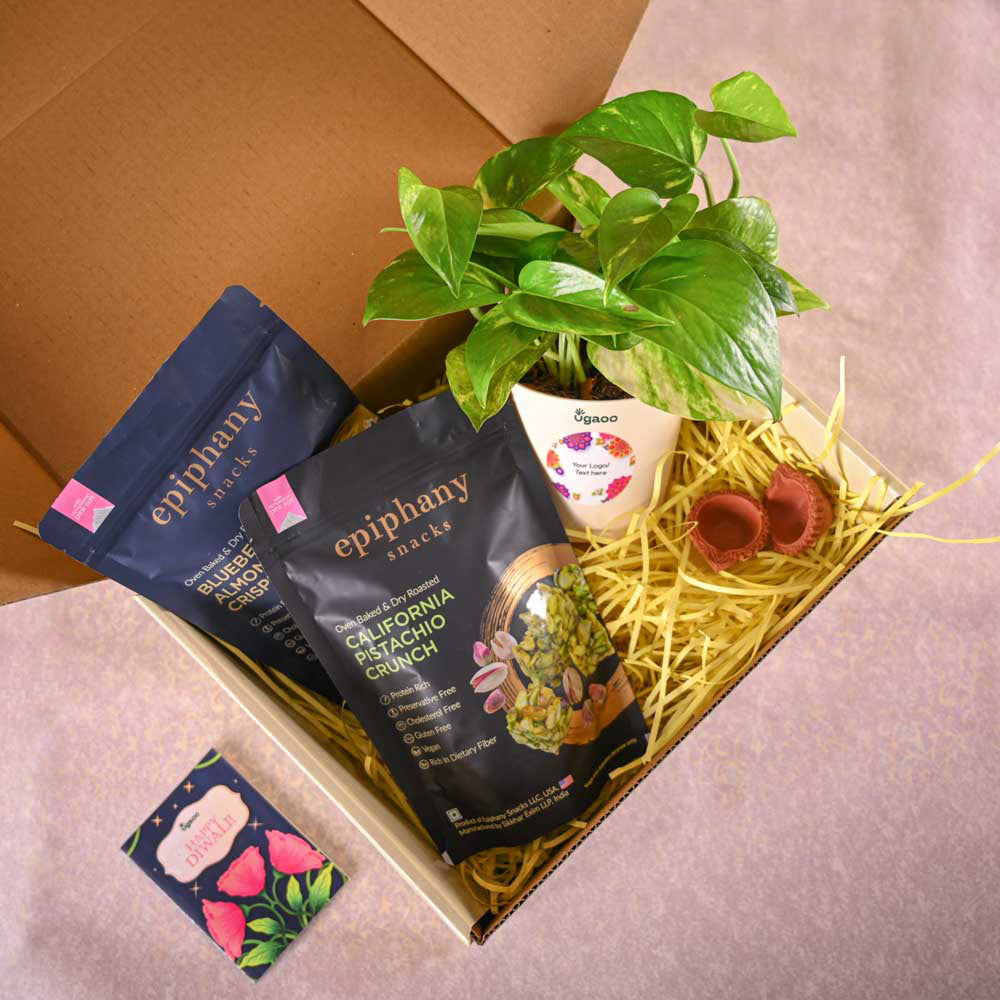 Ugaoo Money plant variegated and Epiphany Snacks Diwali Gift Hamper - view 7