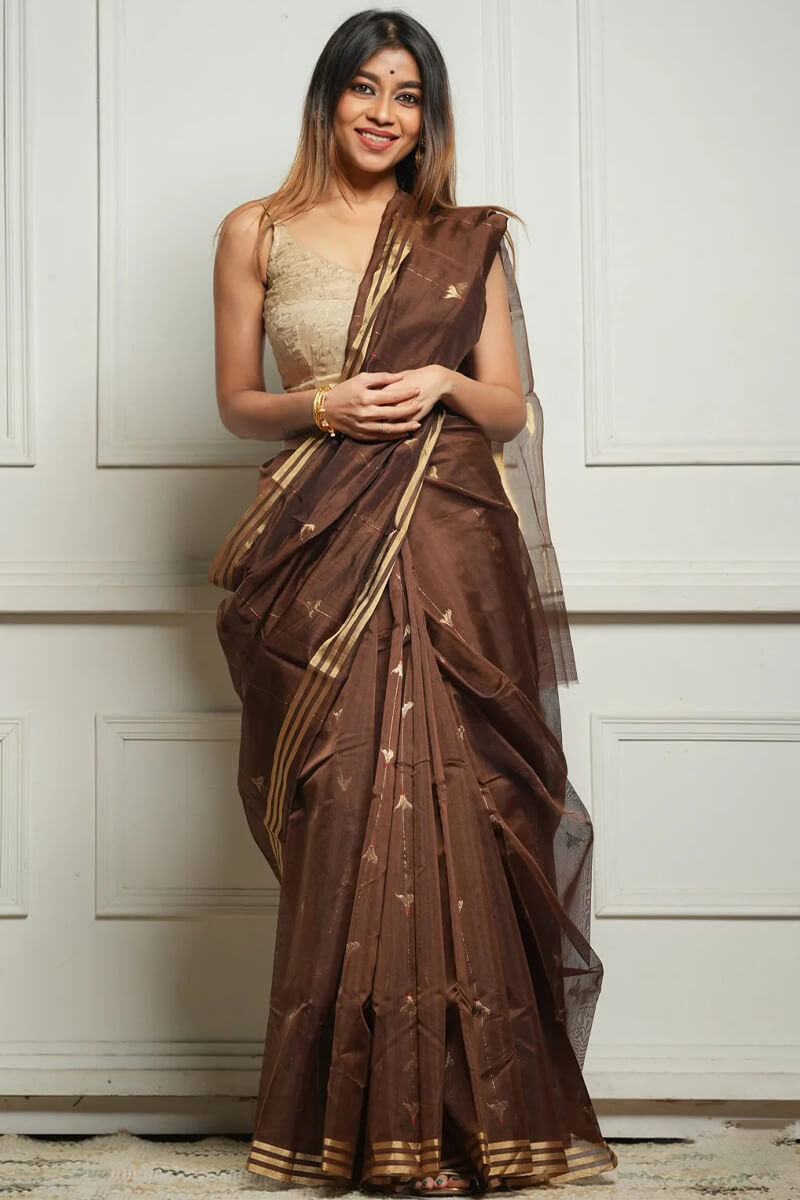 Aayna Embellished Brown Cotton Silk Saree With Felicitous Blouse Piece - view 7