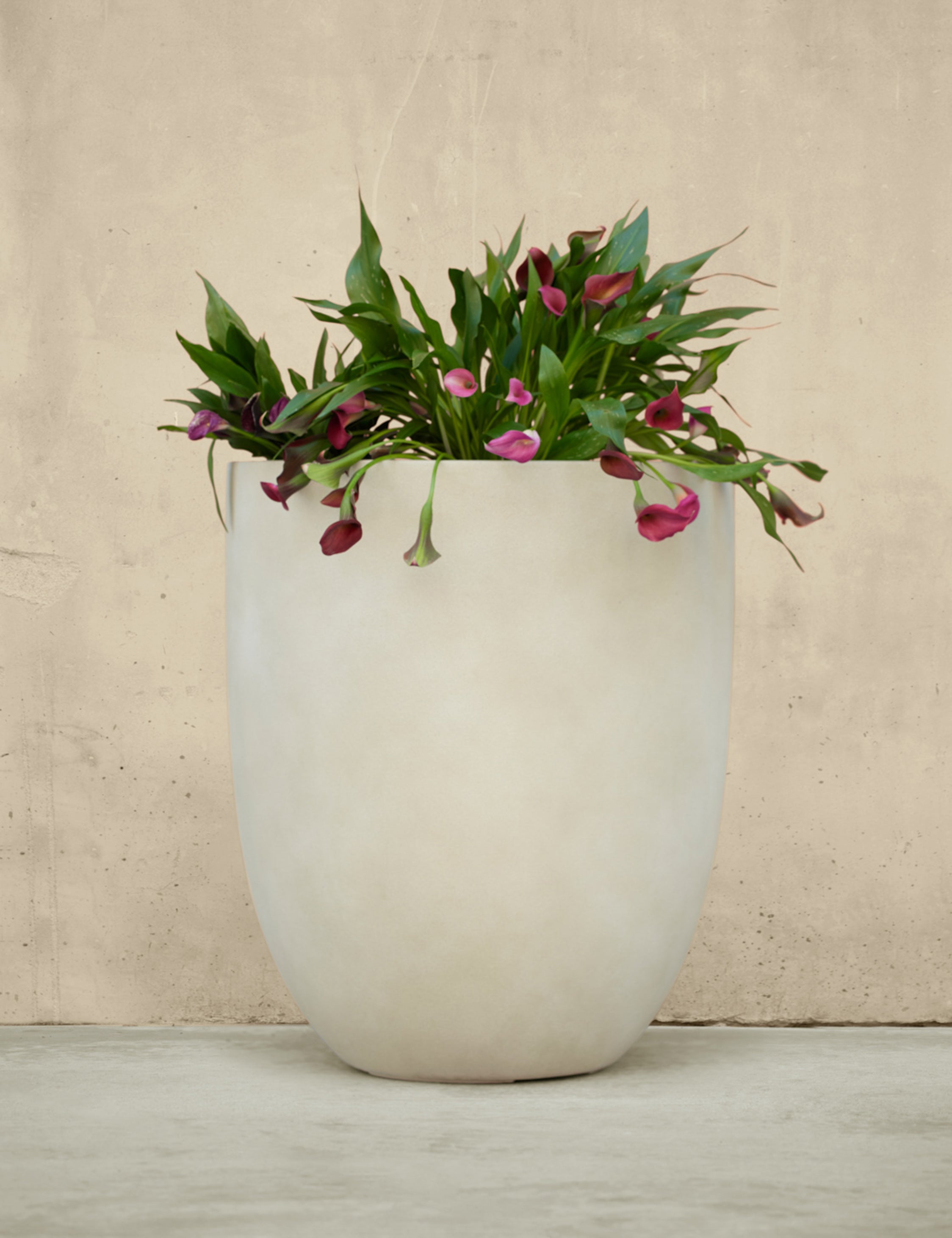 Lulu and Georgia Bradford Planters by Campania International