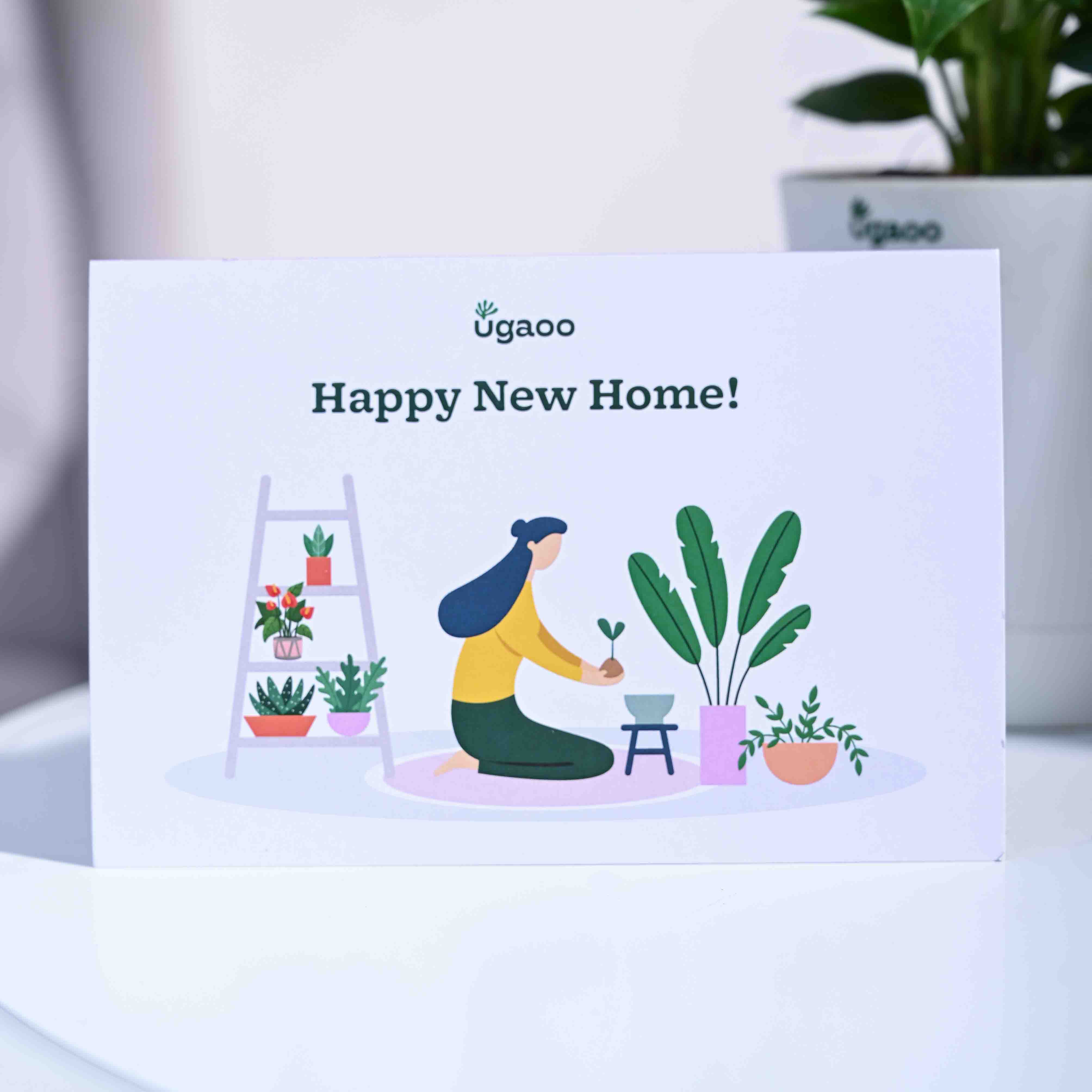 Ugaoo Peace Lily Housewarming Gift Hamper - view 4