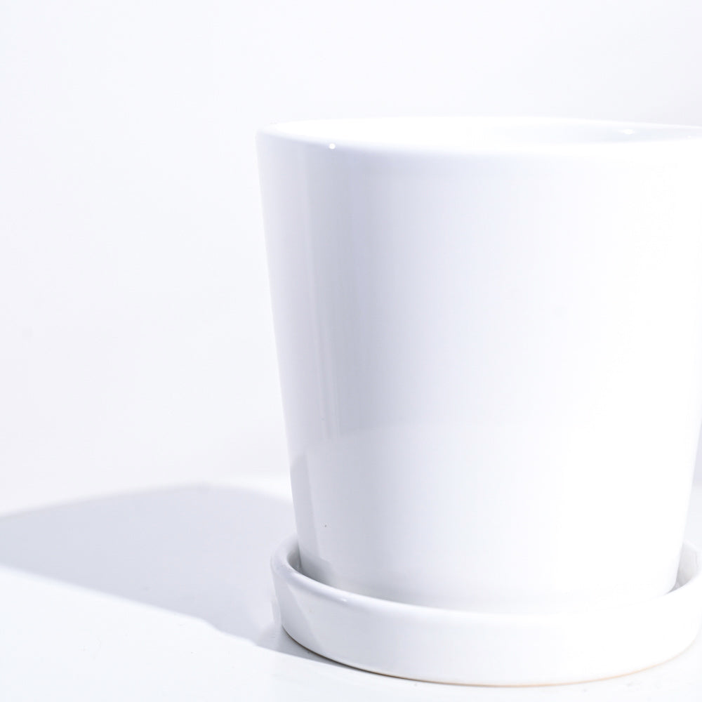 Ugaoo Table Top Ceramic Pot - White - view 4