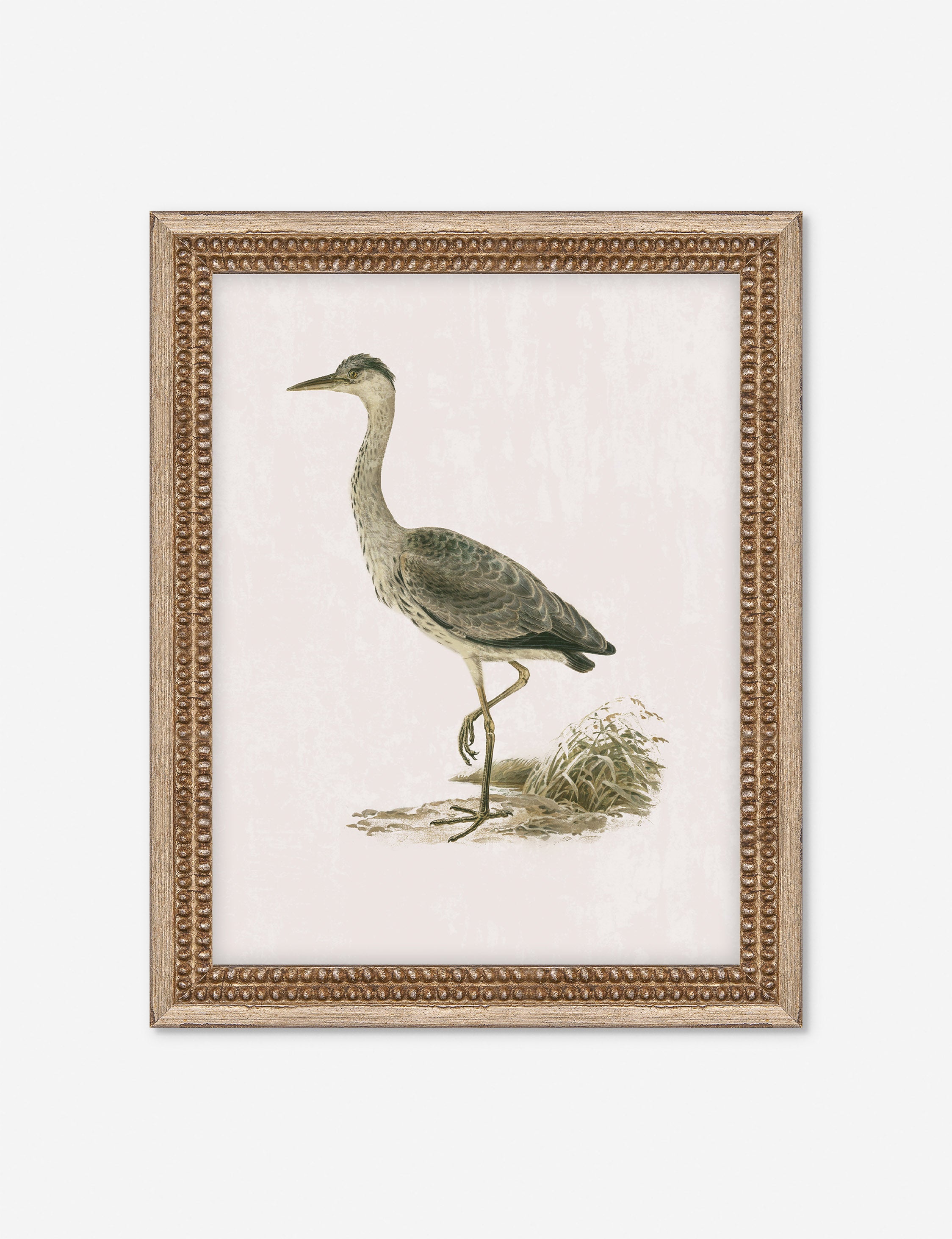 Lulu and Georgia Heron Friend II Wall Art by Old World