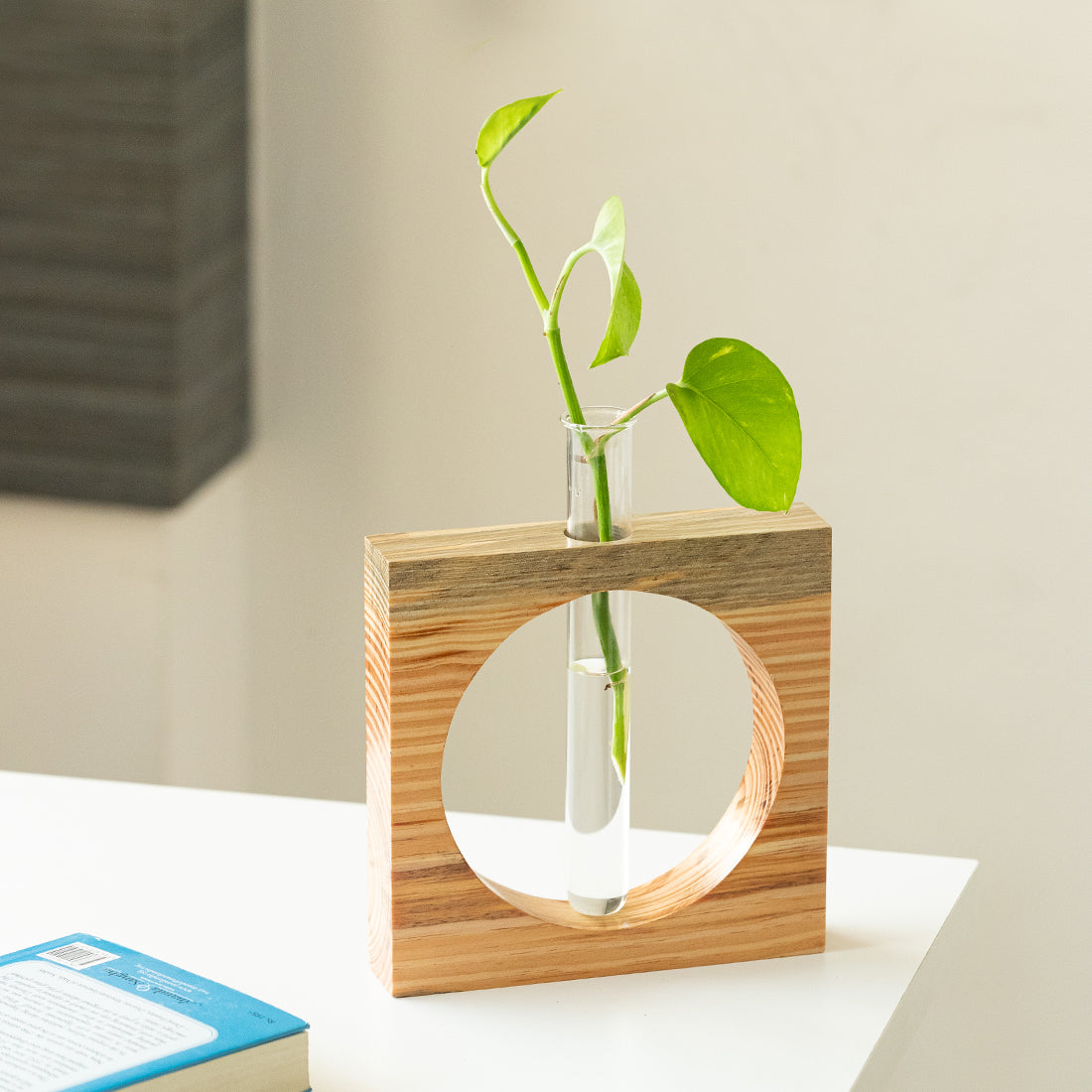 EXCLUSIVELANE 'Carved Circle Glass Garden' Test Tube Table Planter/Vase (9 Inch, Light Brown)