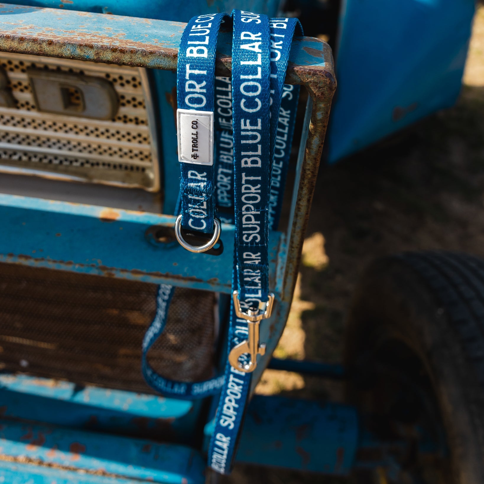 Radial SBC Heavy Duty Dog Collar – Blue - view 13