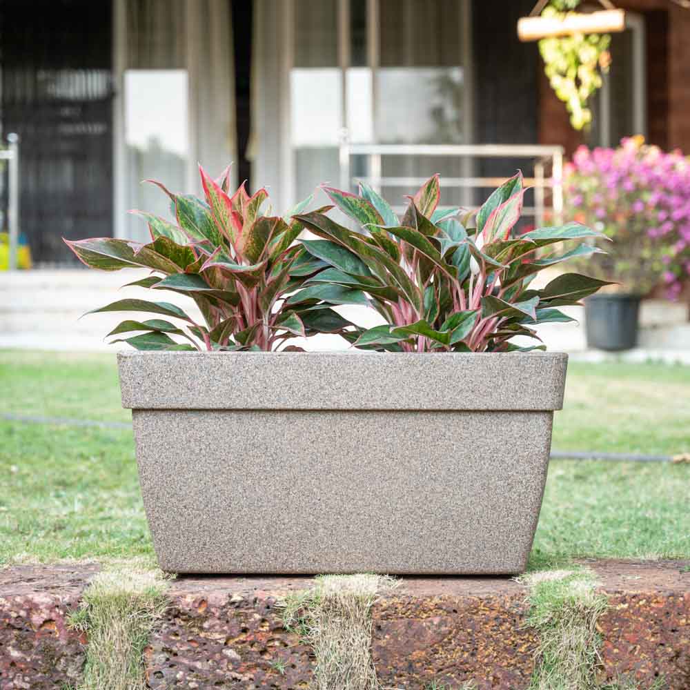 Ugaoo Barca Rectangle Planter