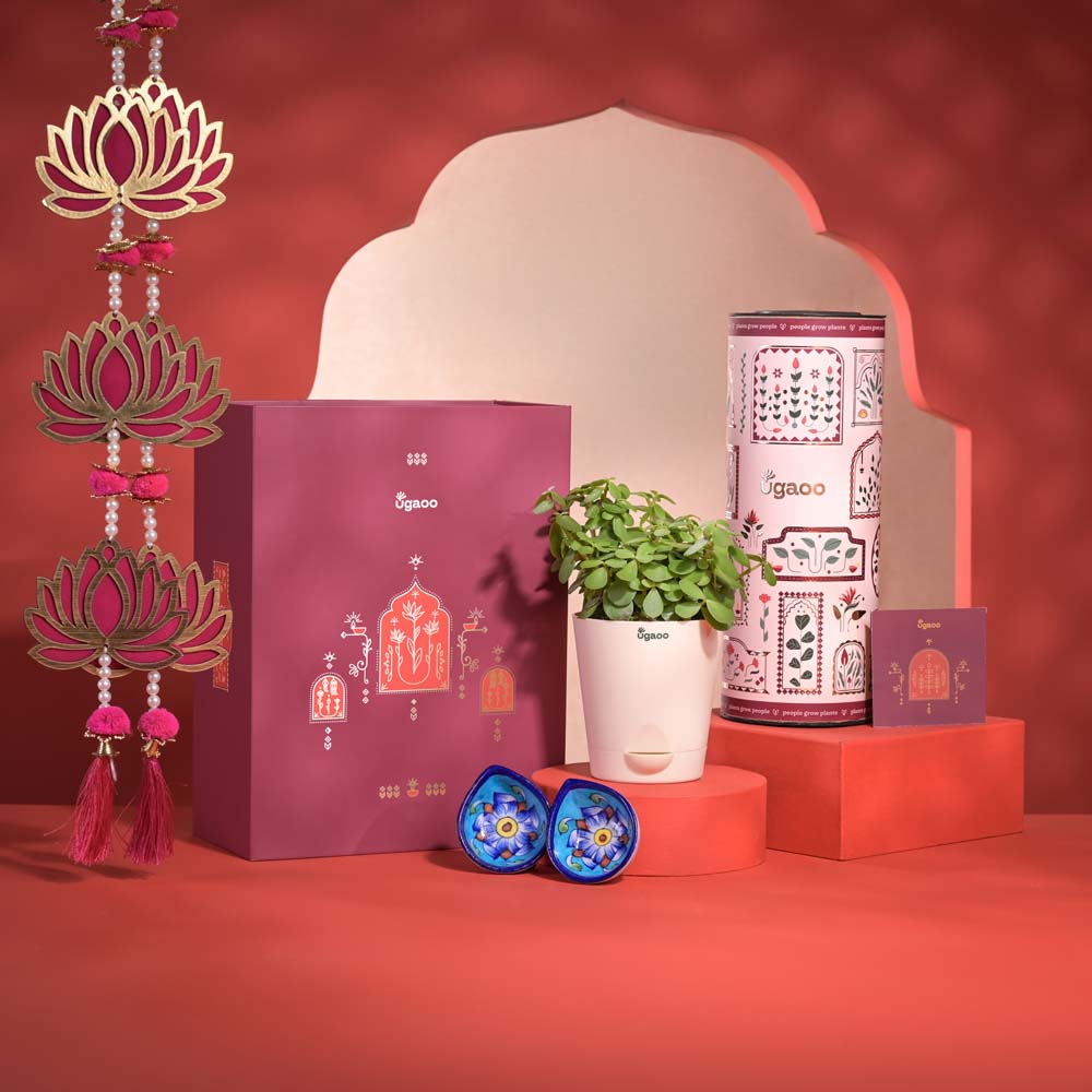 Ugaoo Prosperity Diwali Gift Hamper