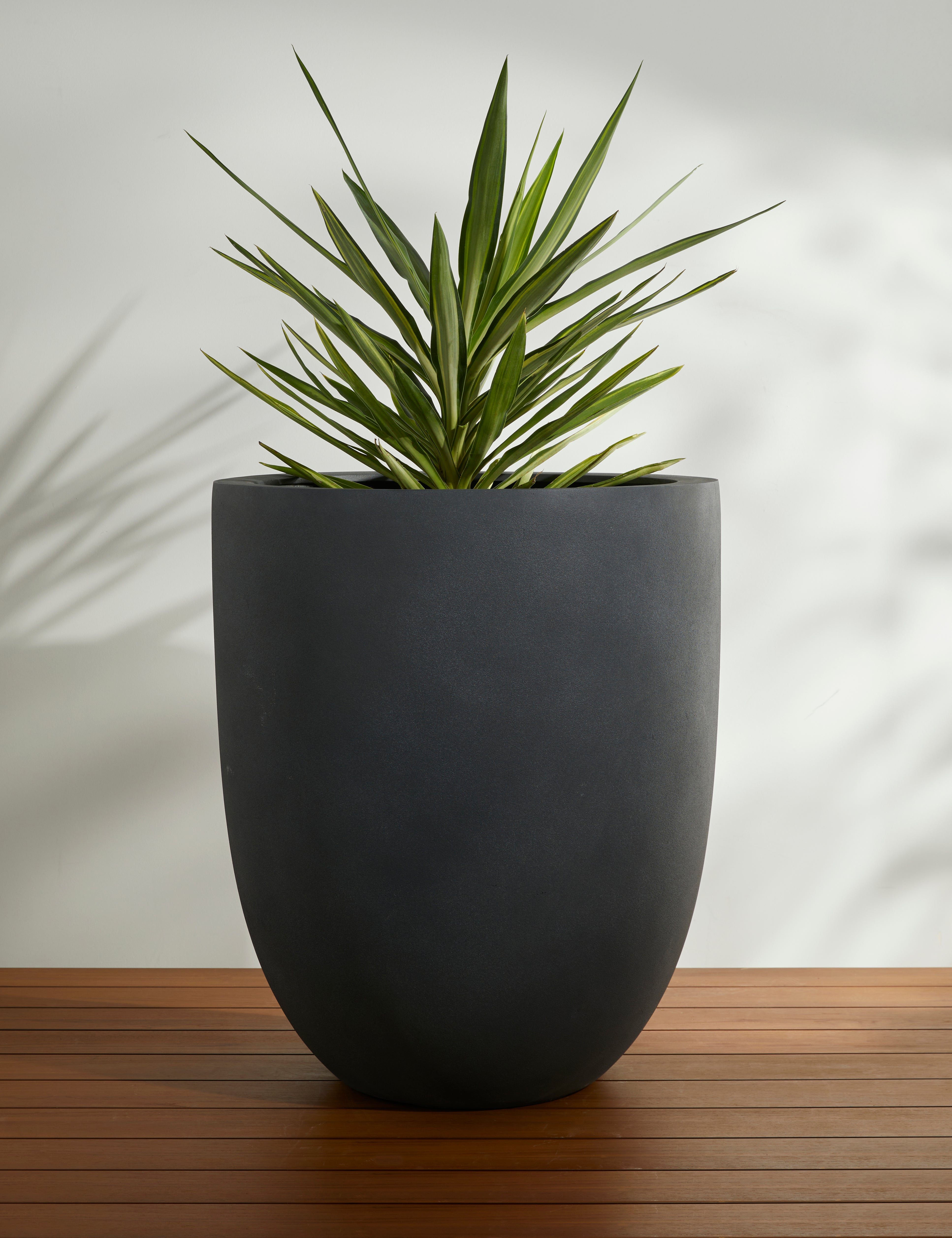 Lulu and Georgia Bradford Planters by Campania International - view 5