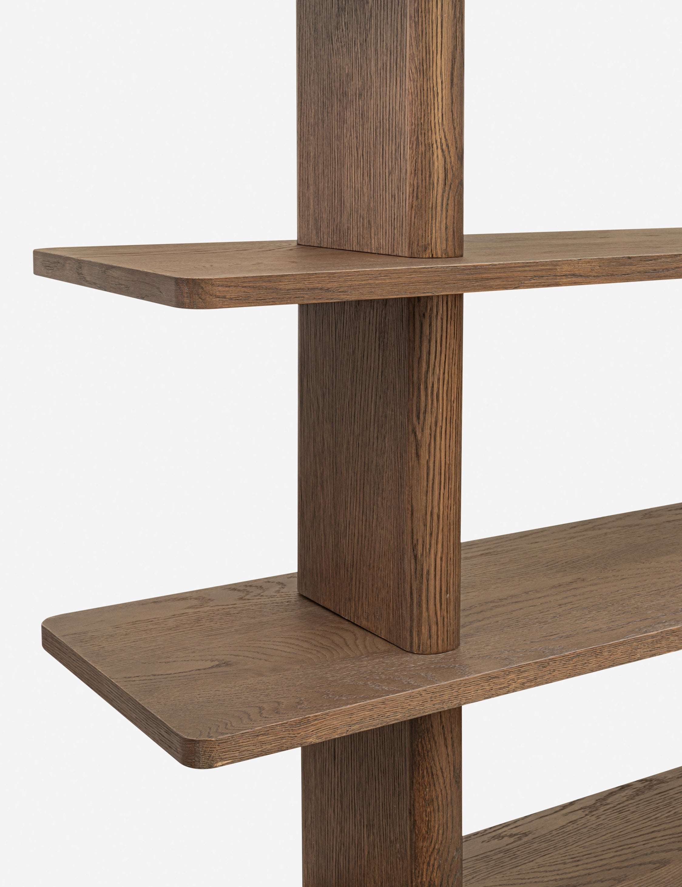 Lulu and Georgia Khaza Tall Bookcase - view 11