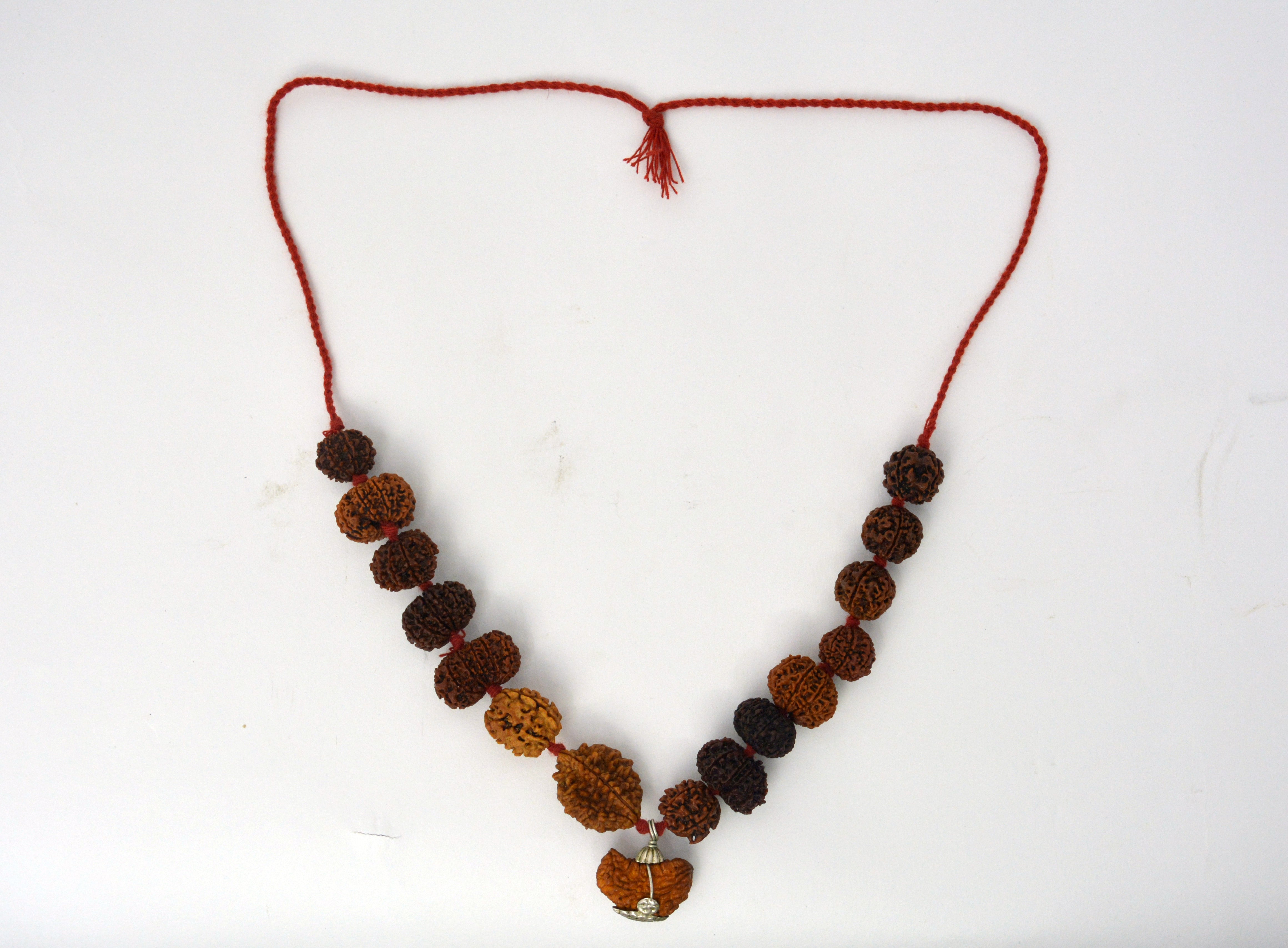 Studio Vaidik Indrakshi Mala made by 1-14 Mukhi Rudraksha (Length: 36 cm apx.)