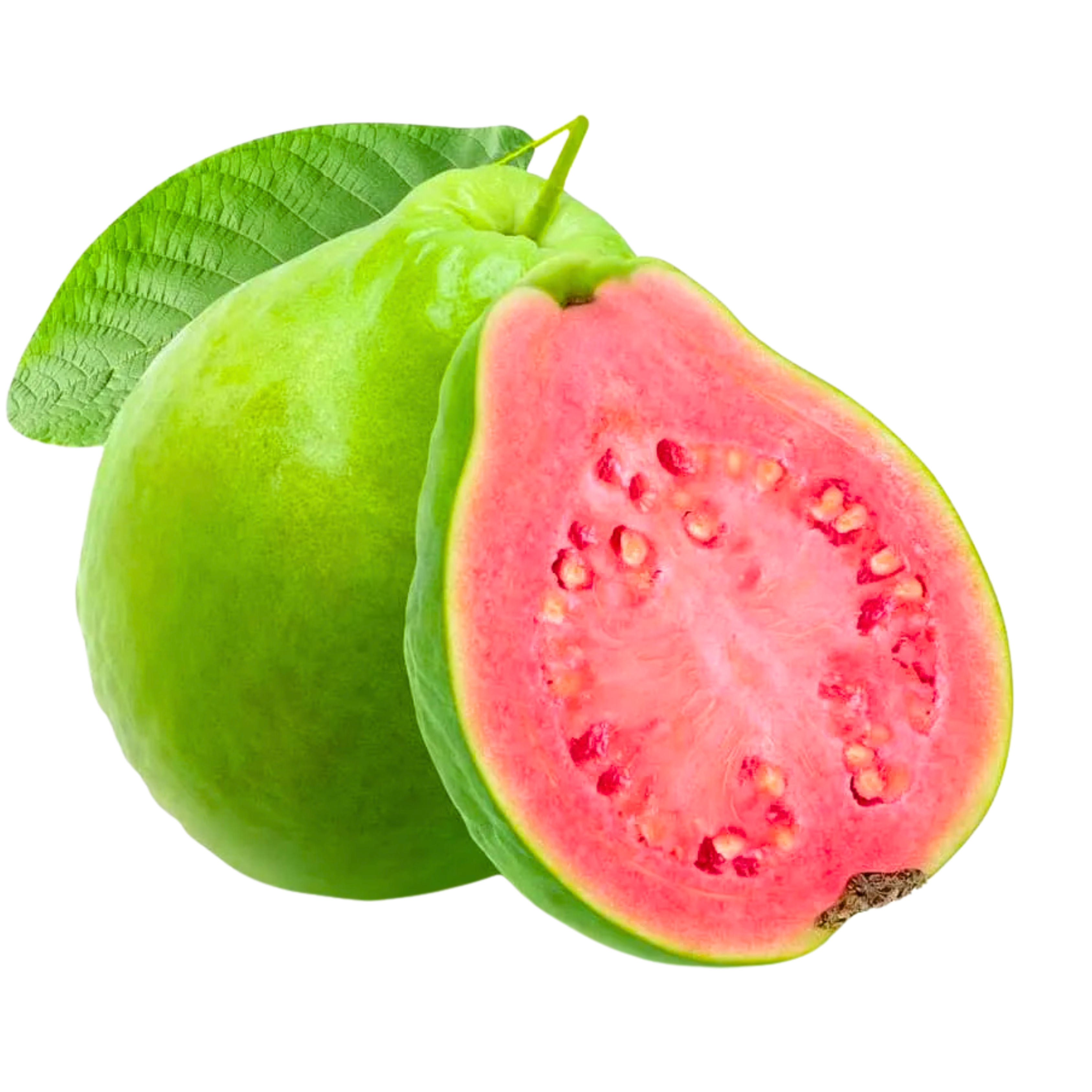 MR Red Flesh Guava (Psidium guajava) Fruit Live Plant - view 2