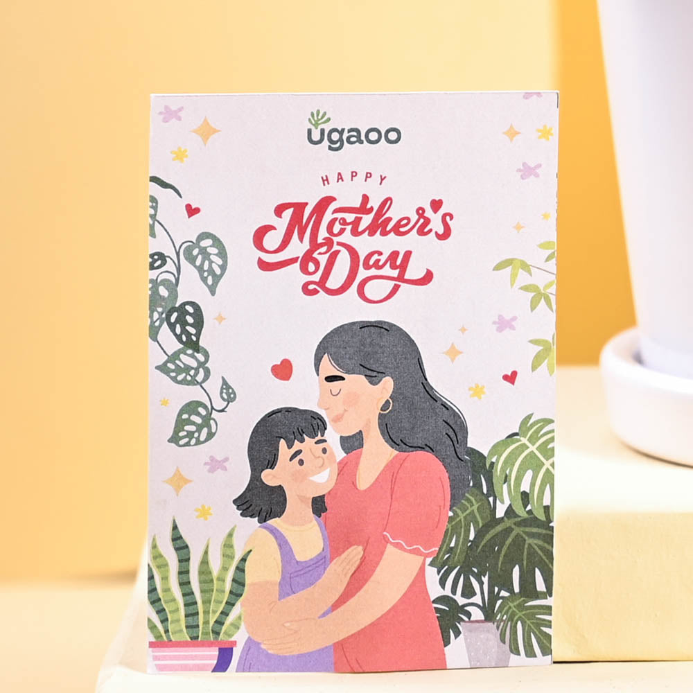 Ugaoo Philodendron Oxycardium Green Plant For Mother's Day Gifting - view 2