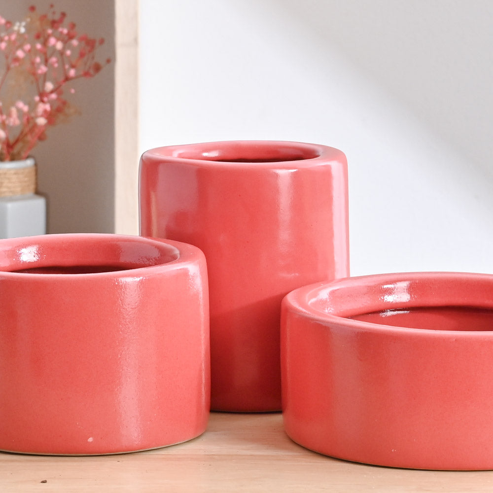 Ugaoo Lilac Stories Bundle - Light Red - view 3