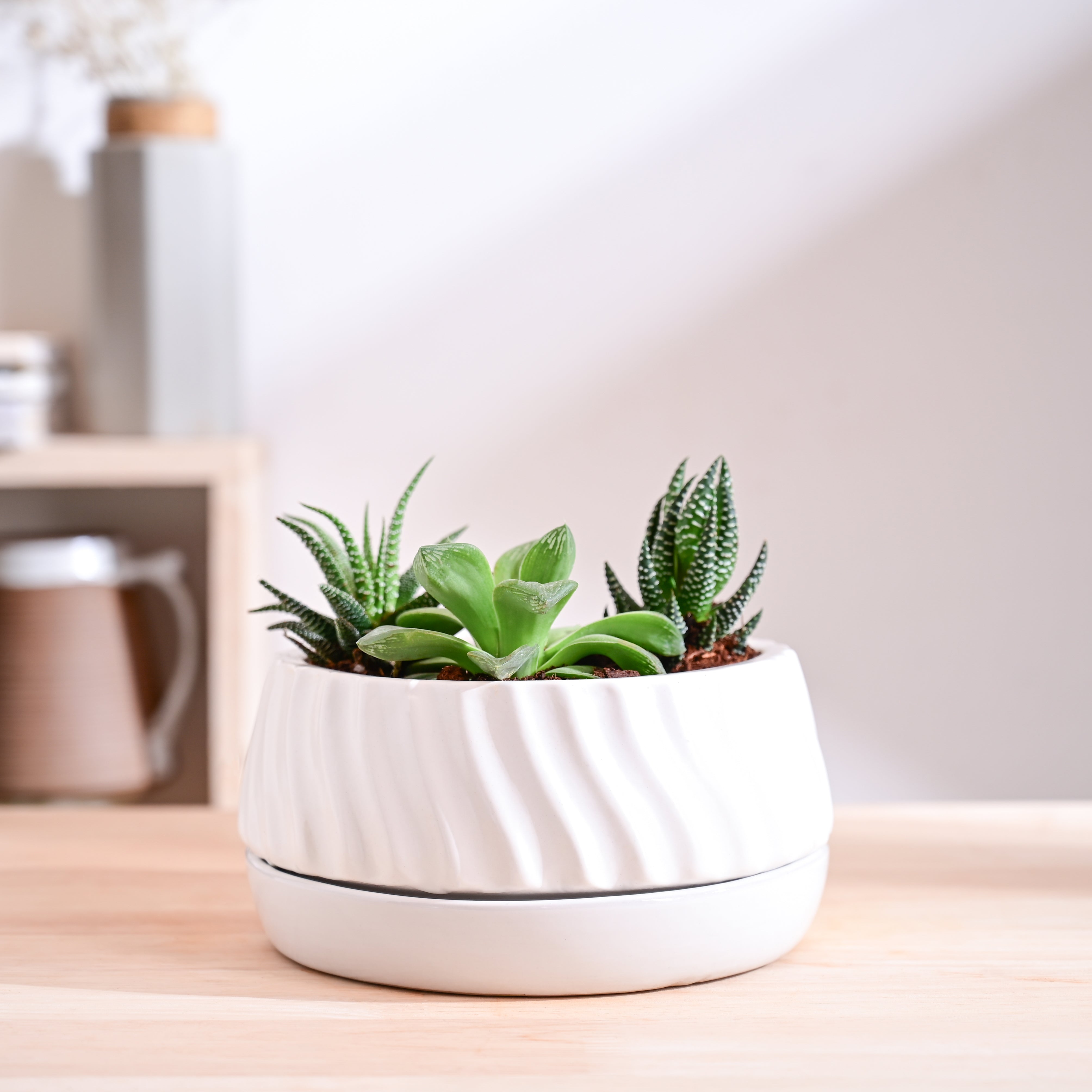 Ugaoo Fallen Angel Ceramic Planter - view 65