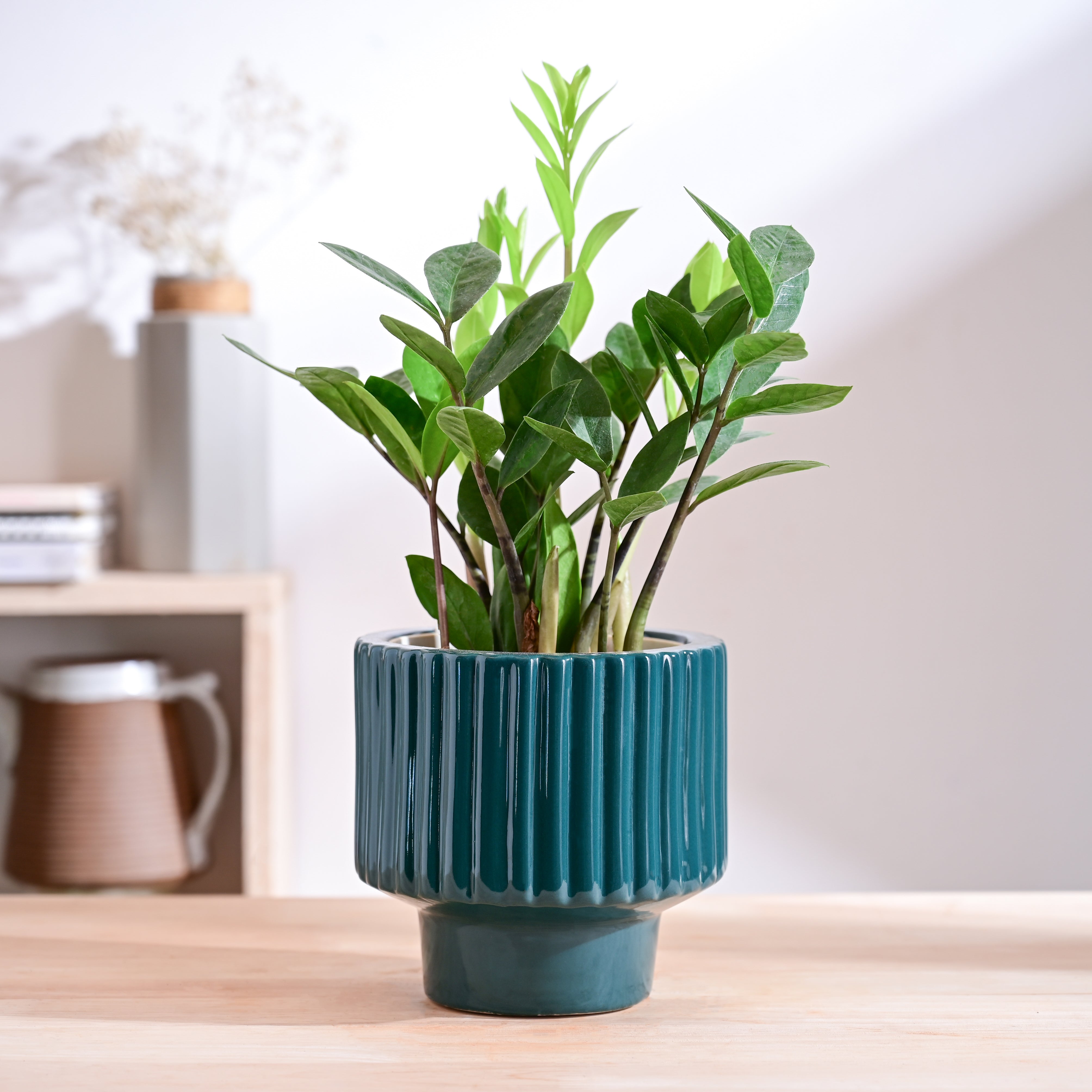 Ugaoo Forms of Love Ceramic Planter - view 41