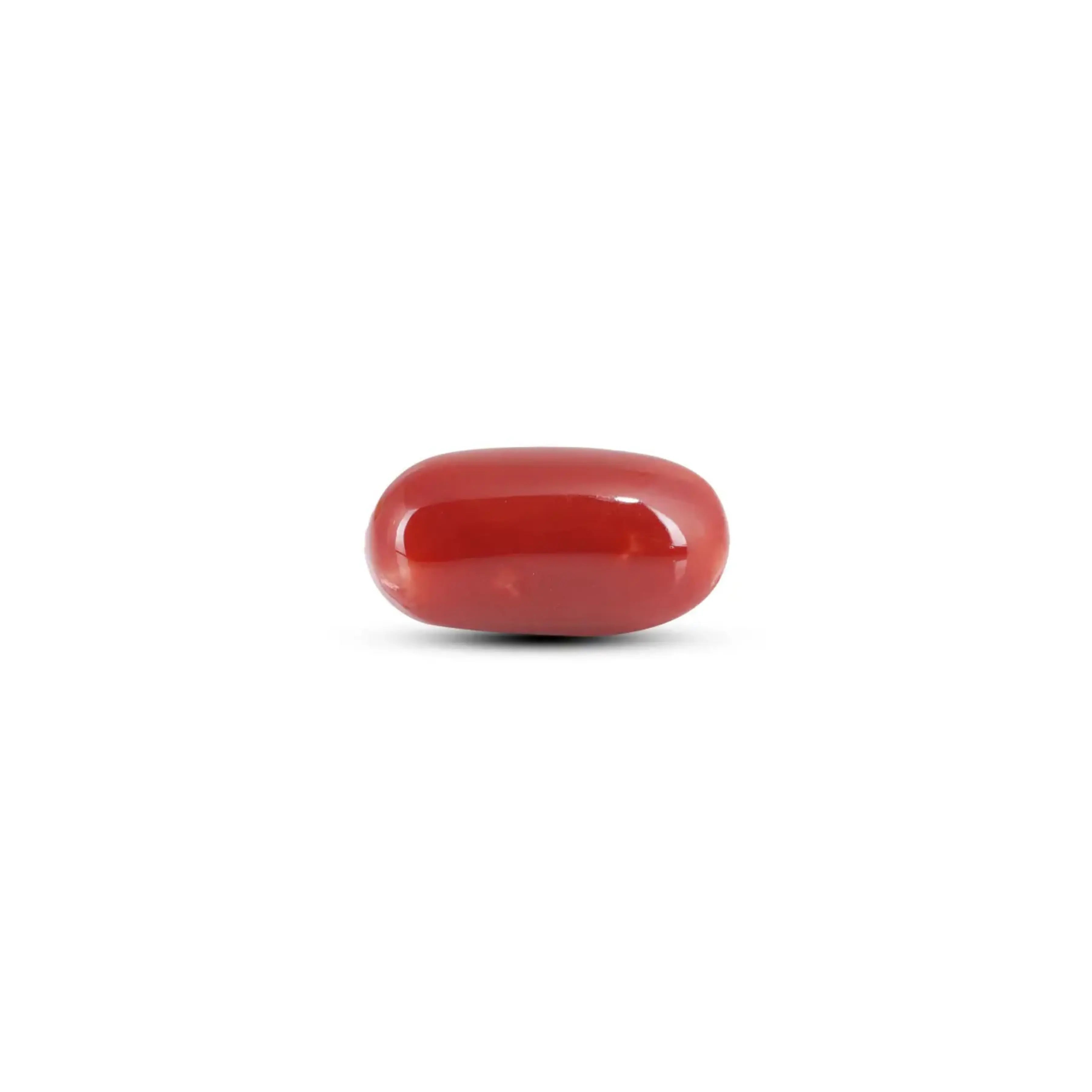 Pramogh Japanese Red Coral - 6.3 Carat