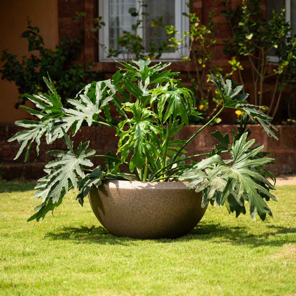 Ugaoo Malta Planter